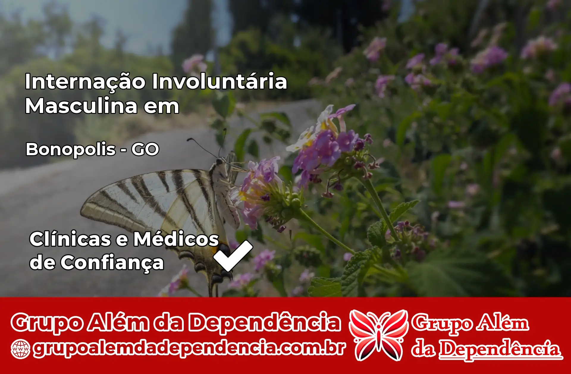 Internação Involuntária Masculina em Bonópolis – GO