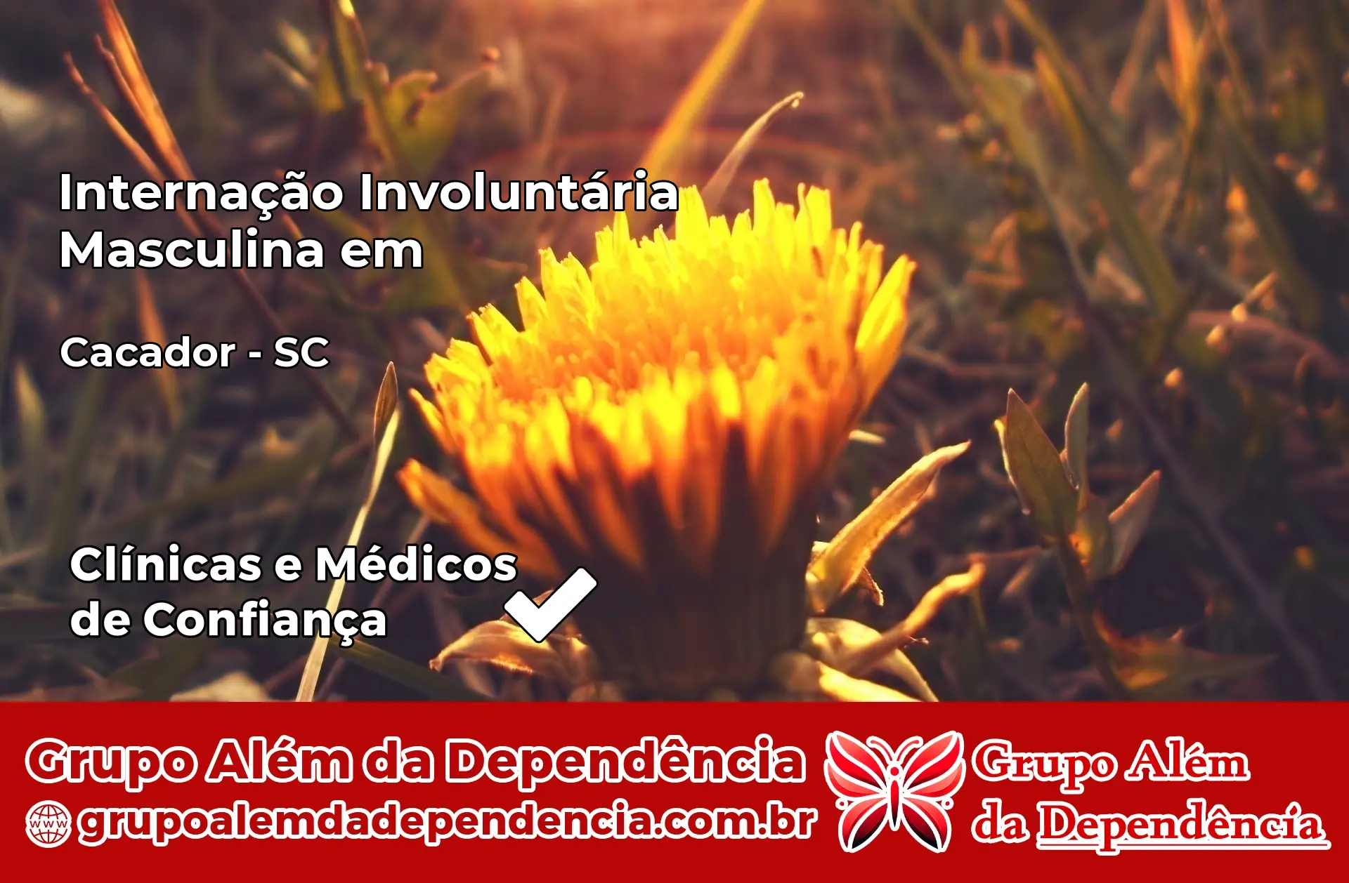 Internação Involuntária Masculina em Caçador – SC