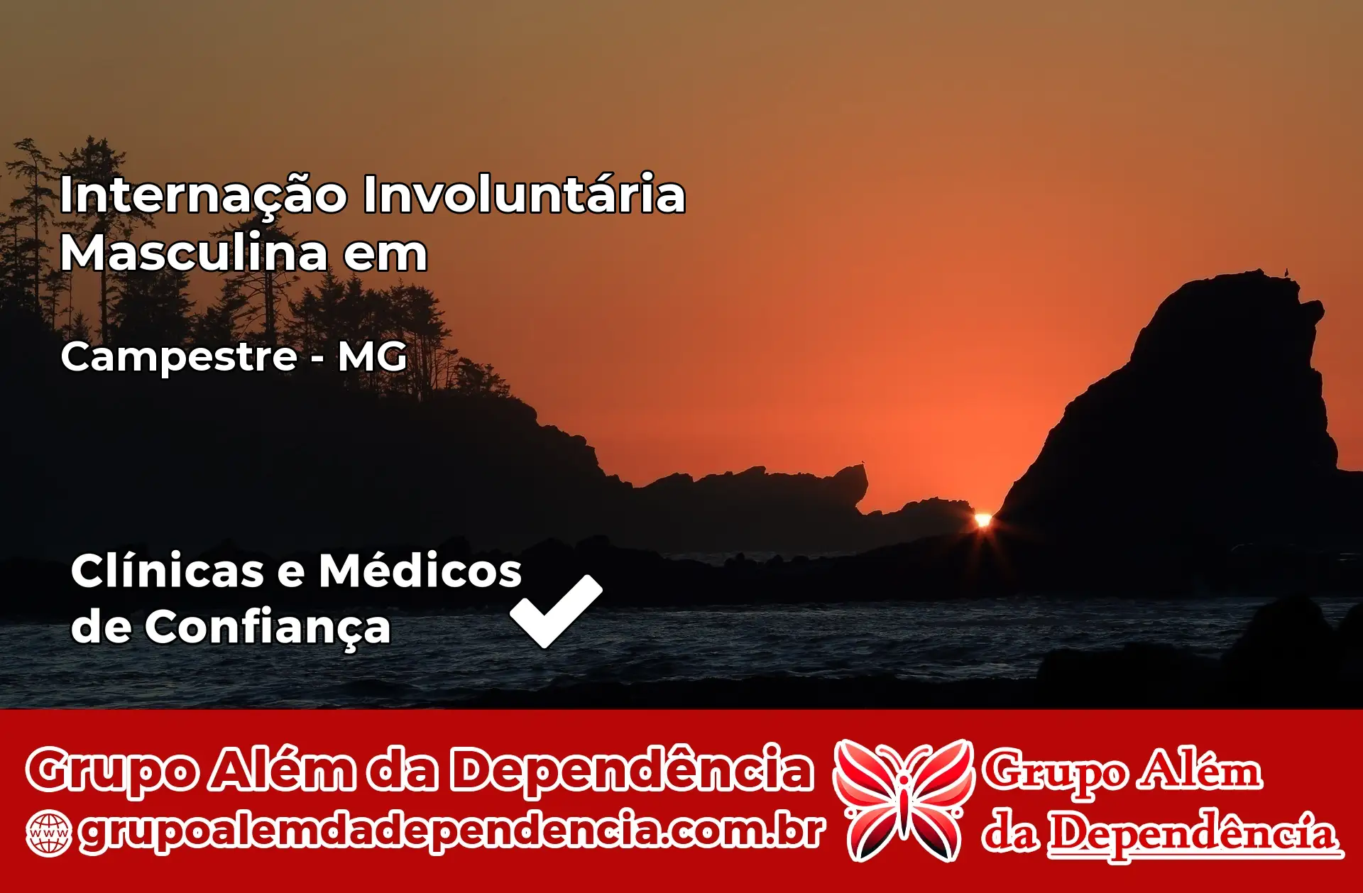 Internação Involuntária Masculina em Campestre – MG