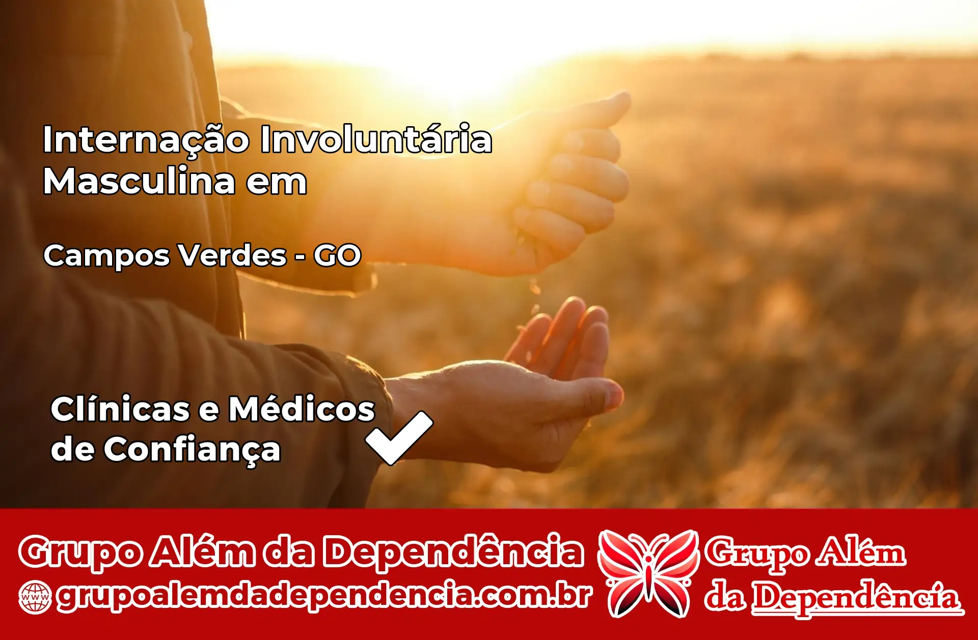 Internação Involuntária Masculina em Campos Verdes – GO