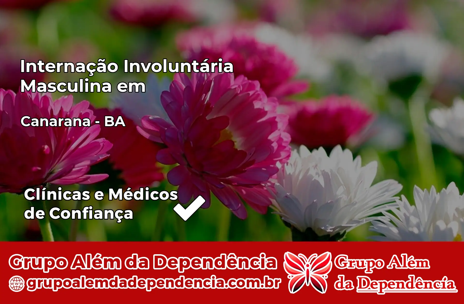 Internação Involuntária Masculina em Canarana – BA