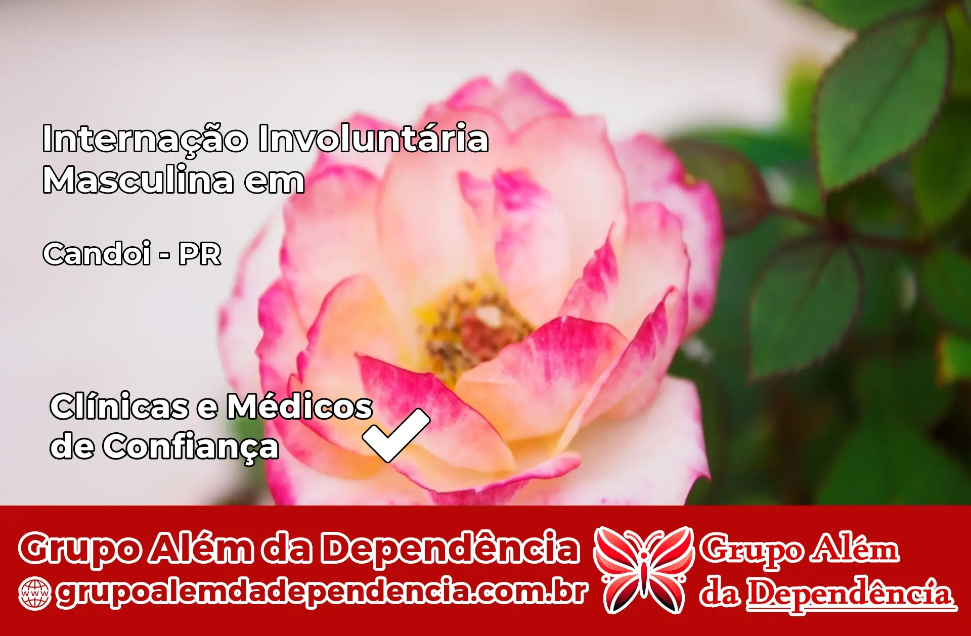 Internação Involuntária Masculina em Candói – PR