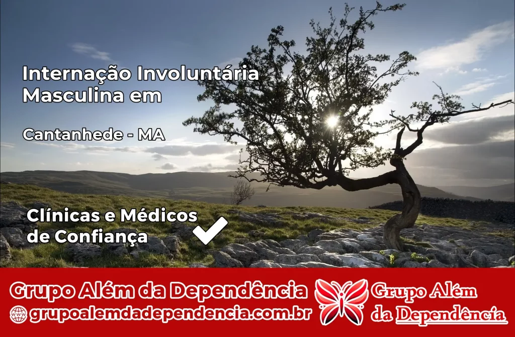 Internação Involuntária Masculina em Cantanhede – MA 1 Internação Involuntária Masculina em Cantanhede – MA