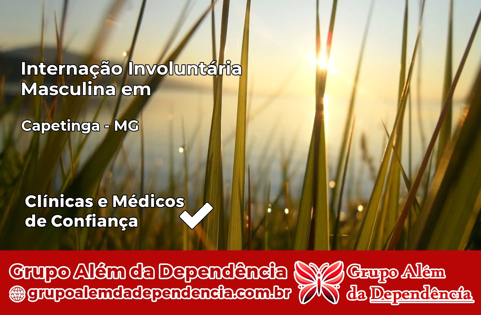 Internação Involuntária Masculina em Capetinga – MG