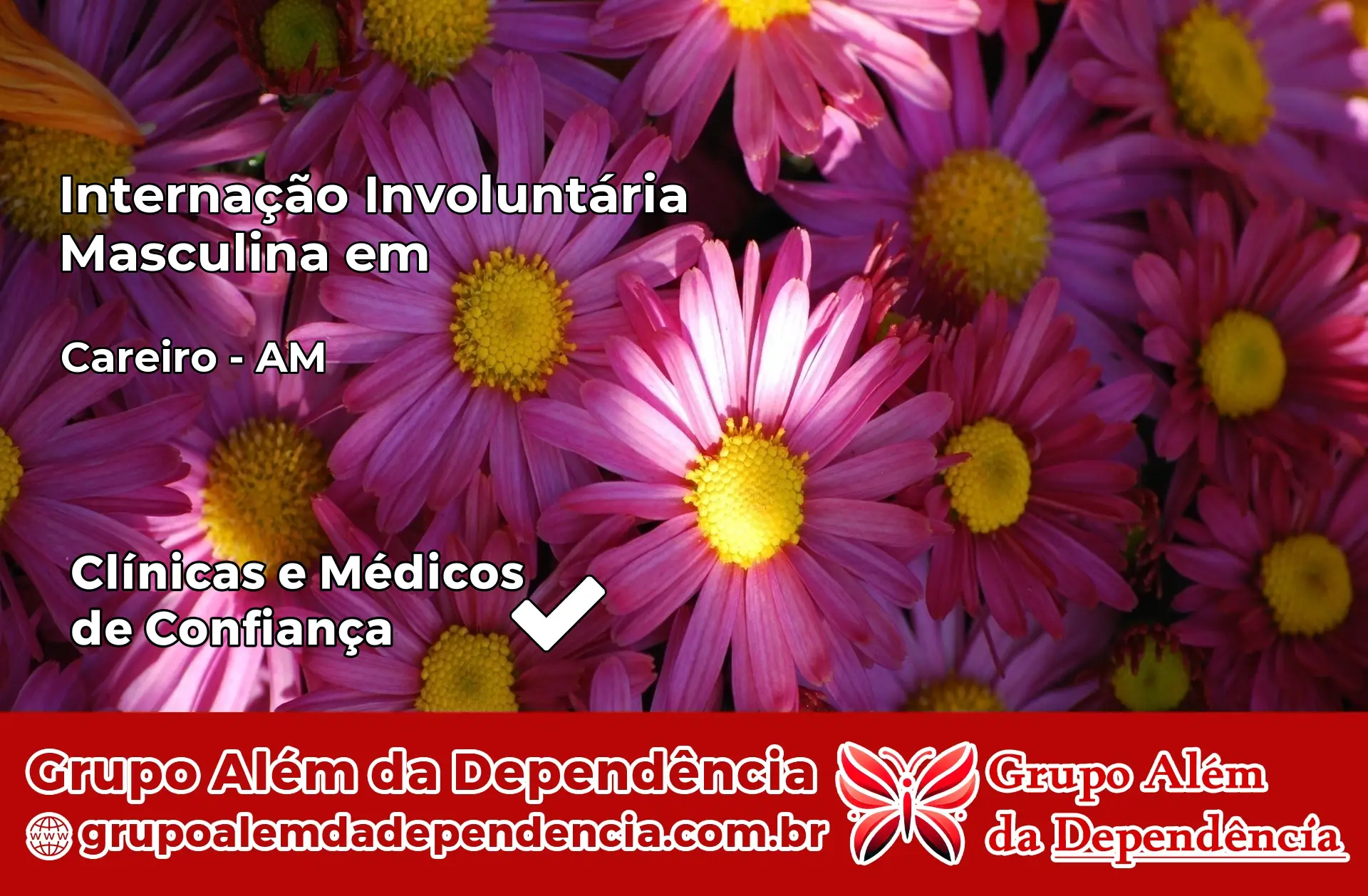 Internação Involuntária Masculina em Careiro – AM