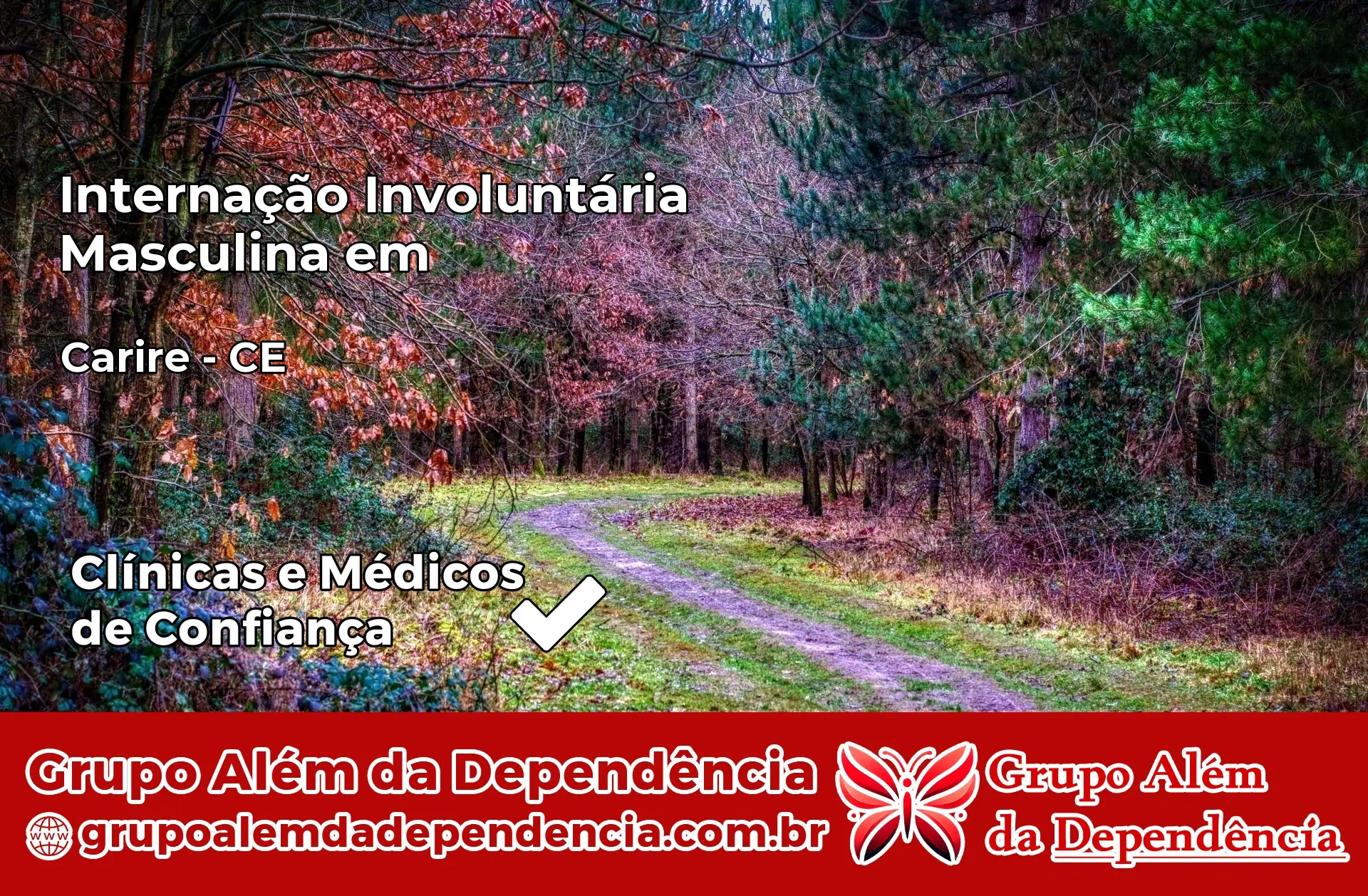 Internação Involuntária Masculina em Cariré – CE