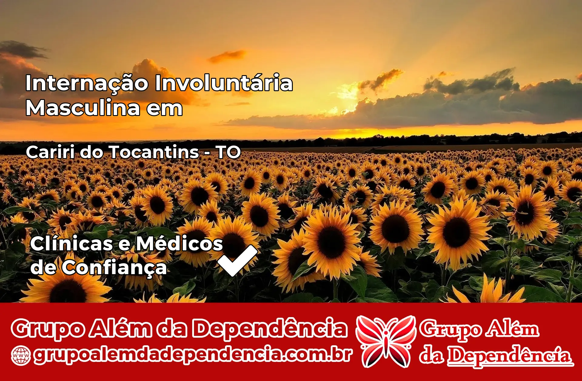 Internação Involuntária Masculina em Cariri do Tocantins – TO