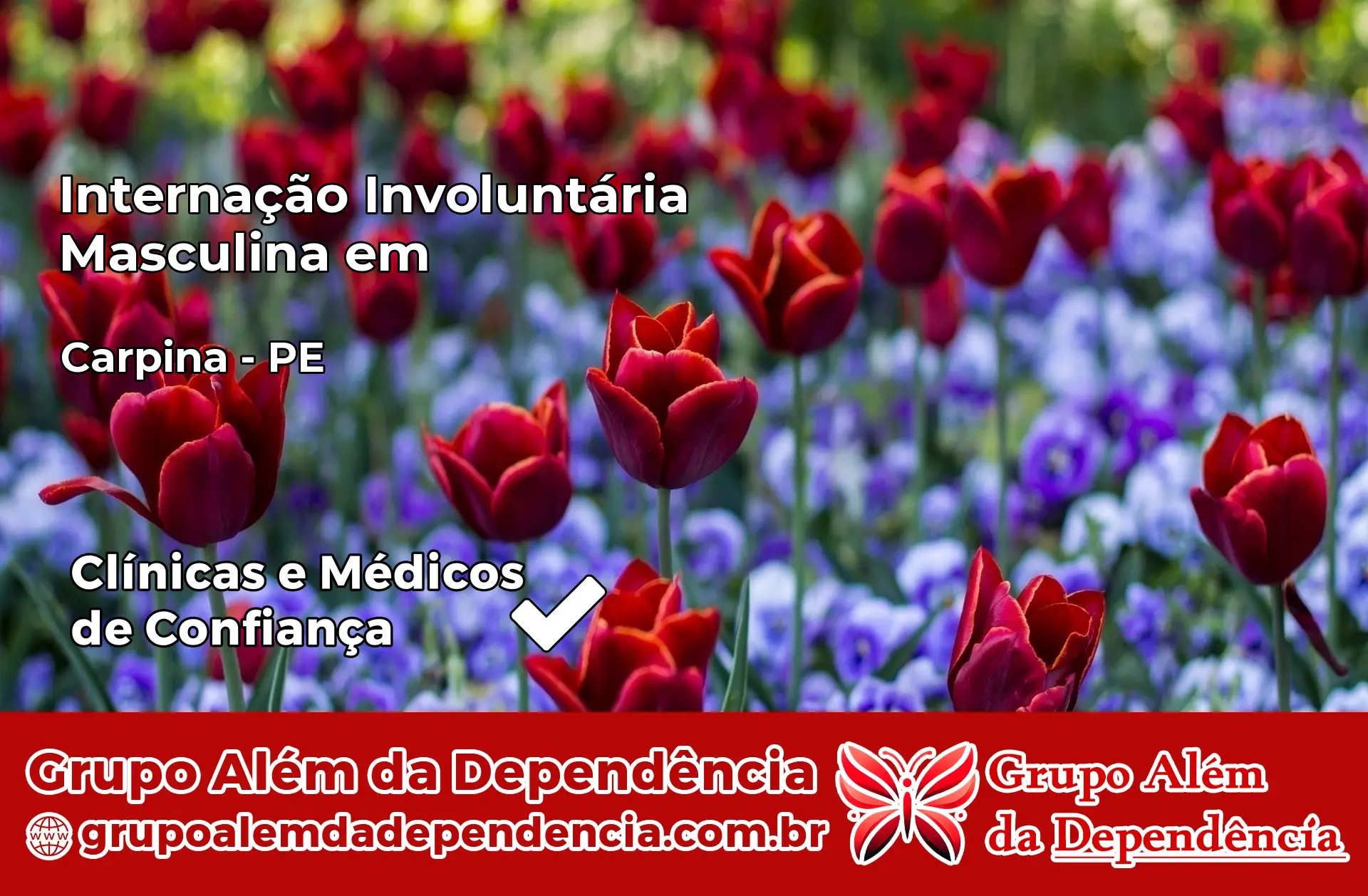 Internação Involuntária Masculina em Carpina – PE