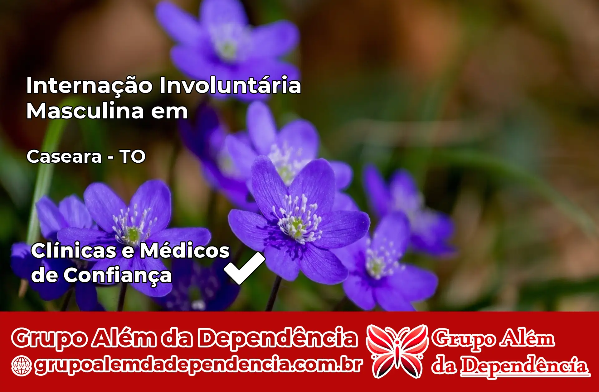 Internação Involuntária Masculina em Caseara – TO