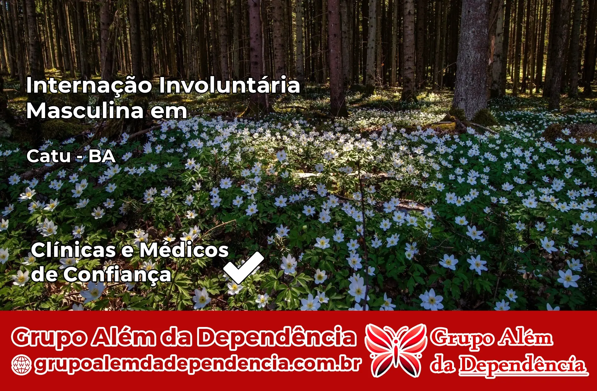 Internação Involuntária Masculina em Catu – BA