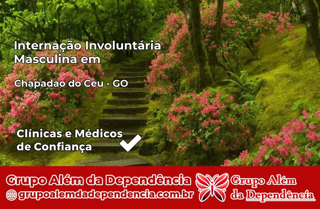 Internação Involuntária Masculina em Chapadão do Céu – GO 1 Internação Involuntária Masculina em Chapadão do Céu – GO