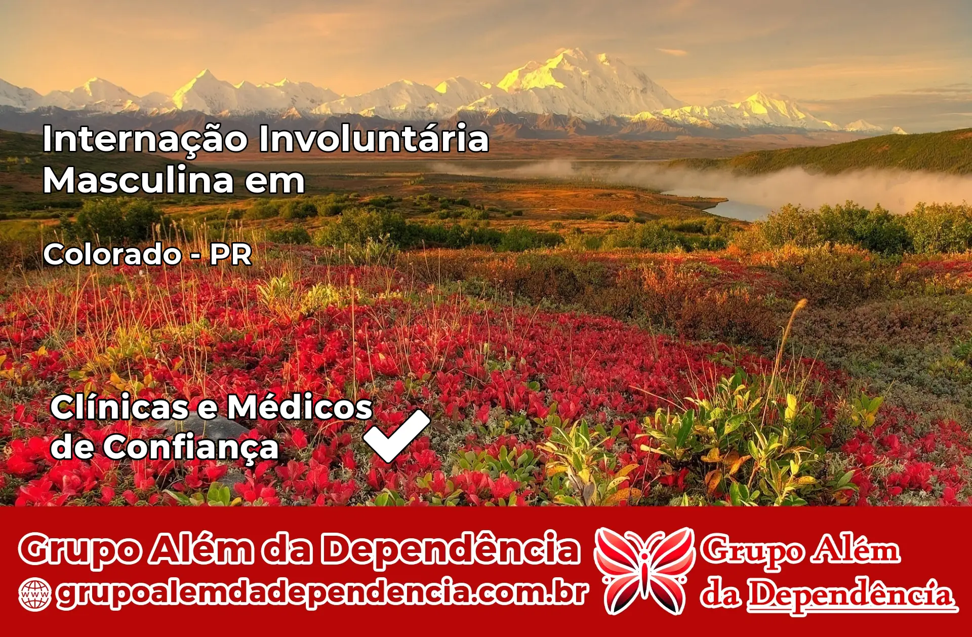 Internação Involuntária Masculina em Colorado – PR