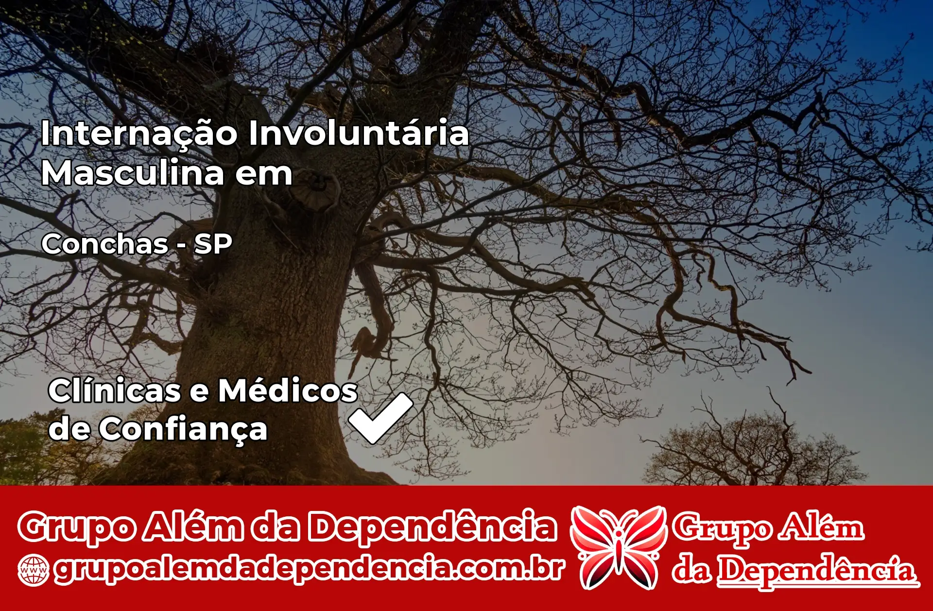 Internação Involuntária Masculina em Conchas – SP