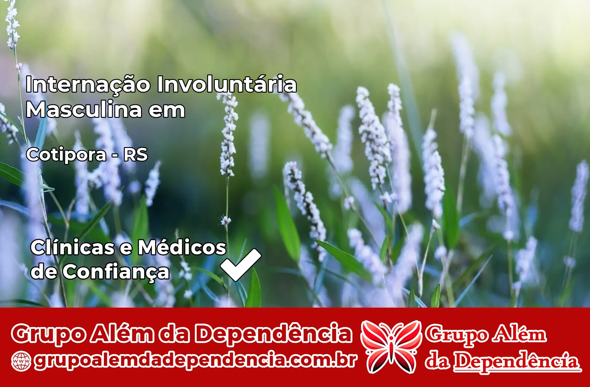 Internação Involuntária Masculina em Cotiporã – RS