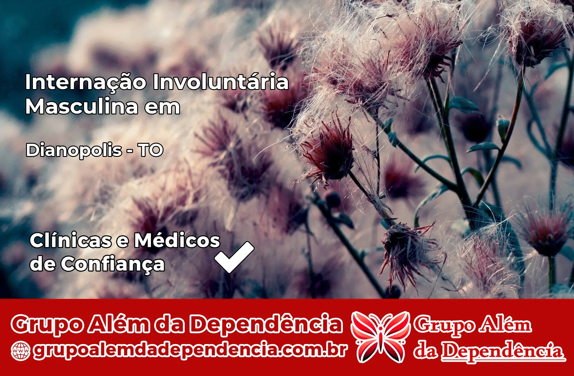 Internação Involuntária Masculina em Dianópolis – TO