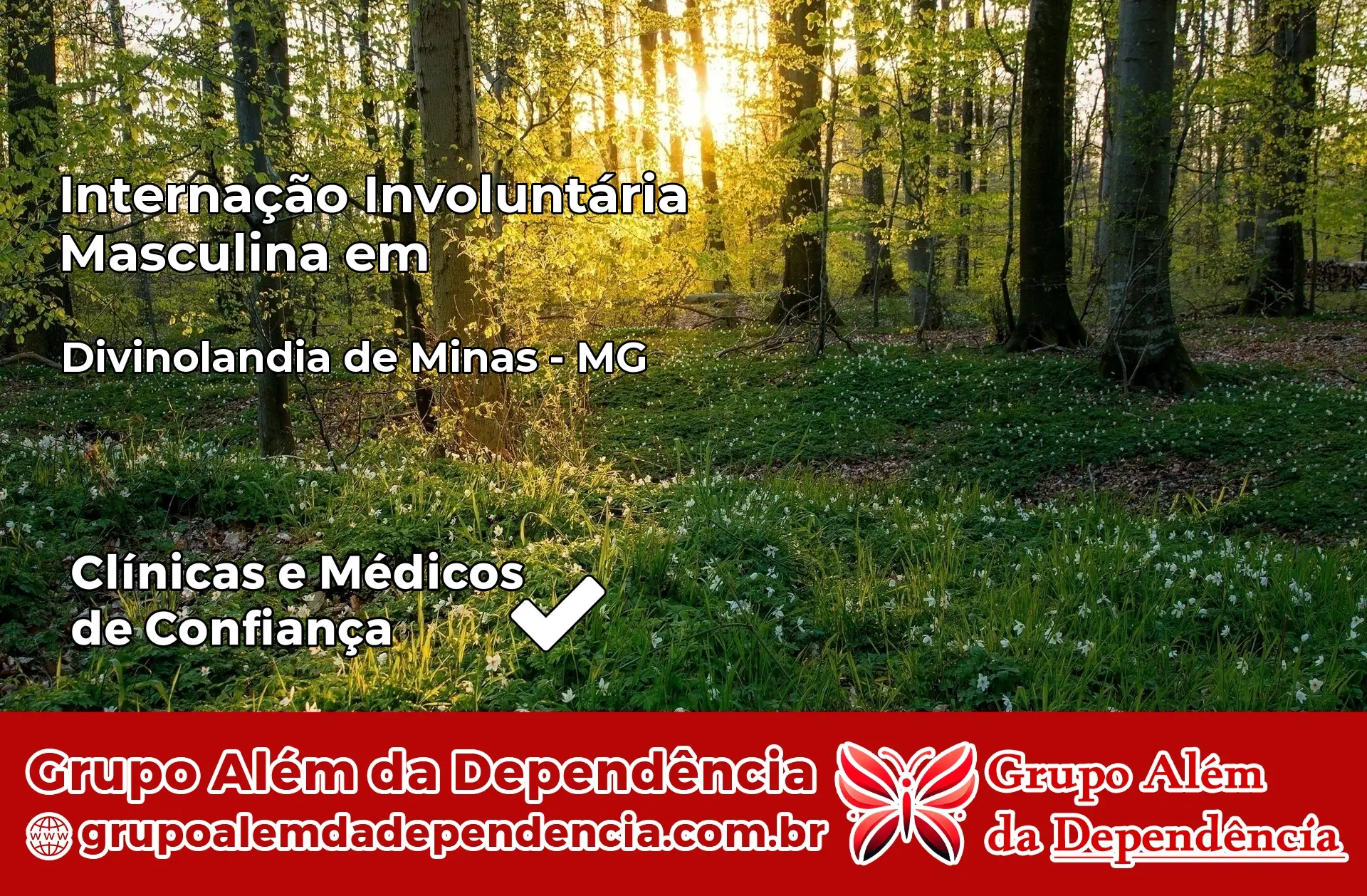 Internação Involuntária Masculina em Divinolândia de Minas – MG