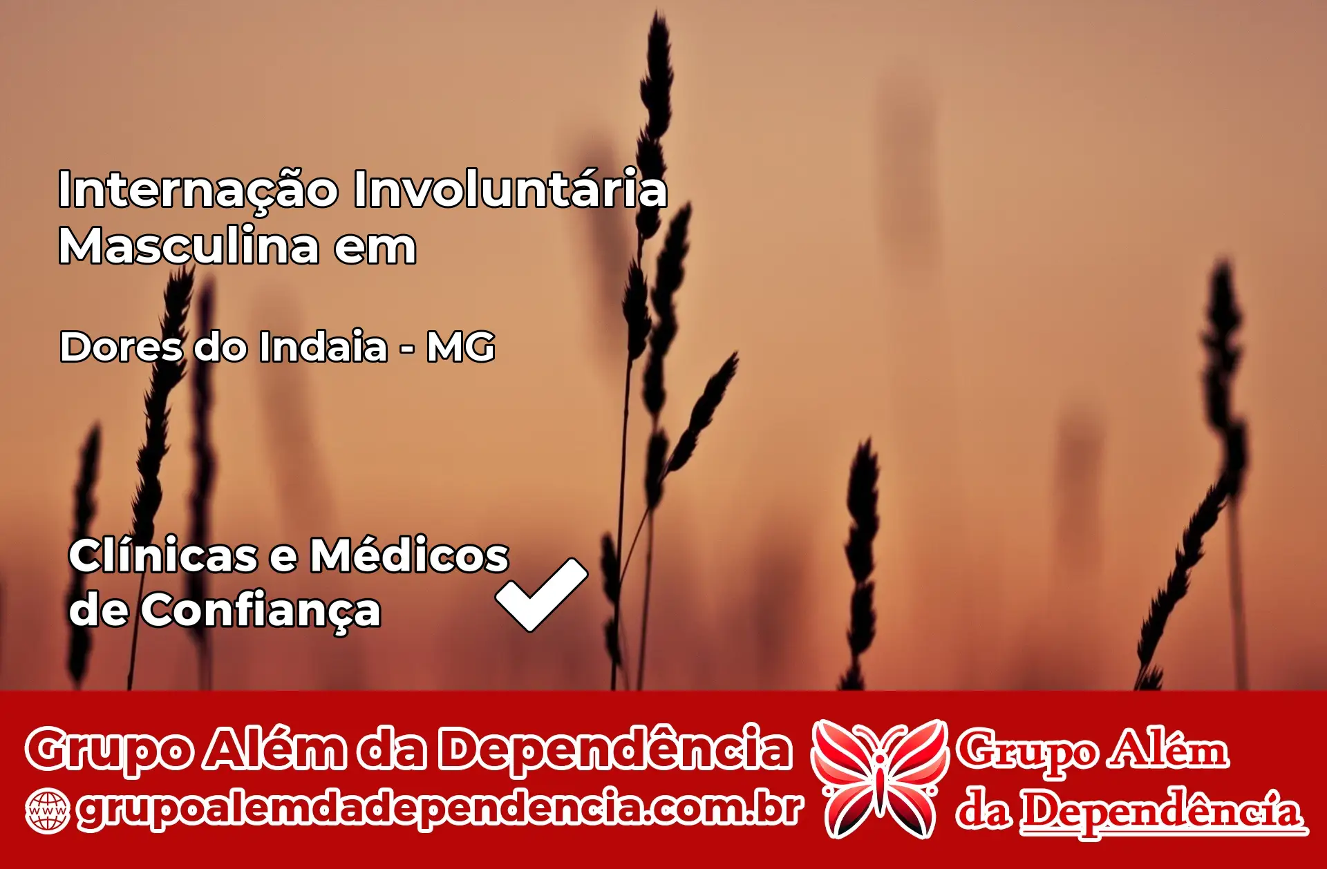 Internação Involuntária Masculina em Dores do Indaiá – MG