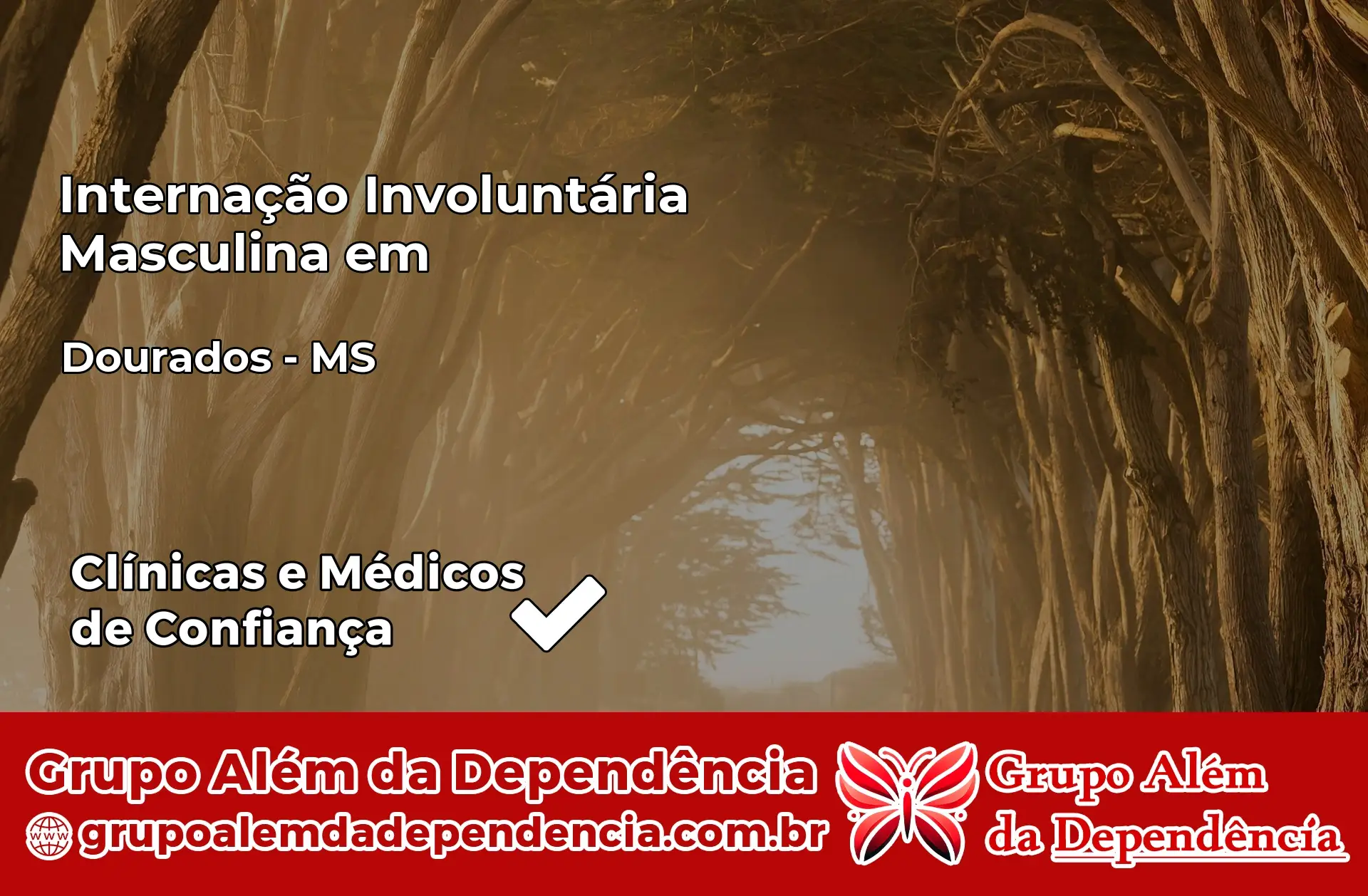 Internação Involuntária Masculina em Dourados – MS