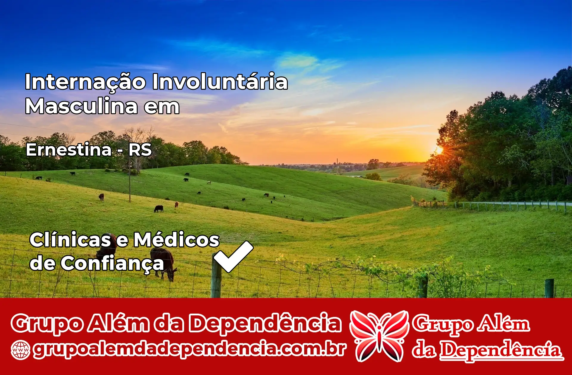 Internação Involuntária Masculina em Ernestina – RS
