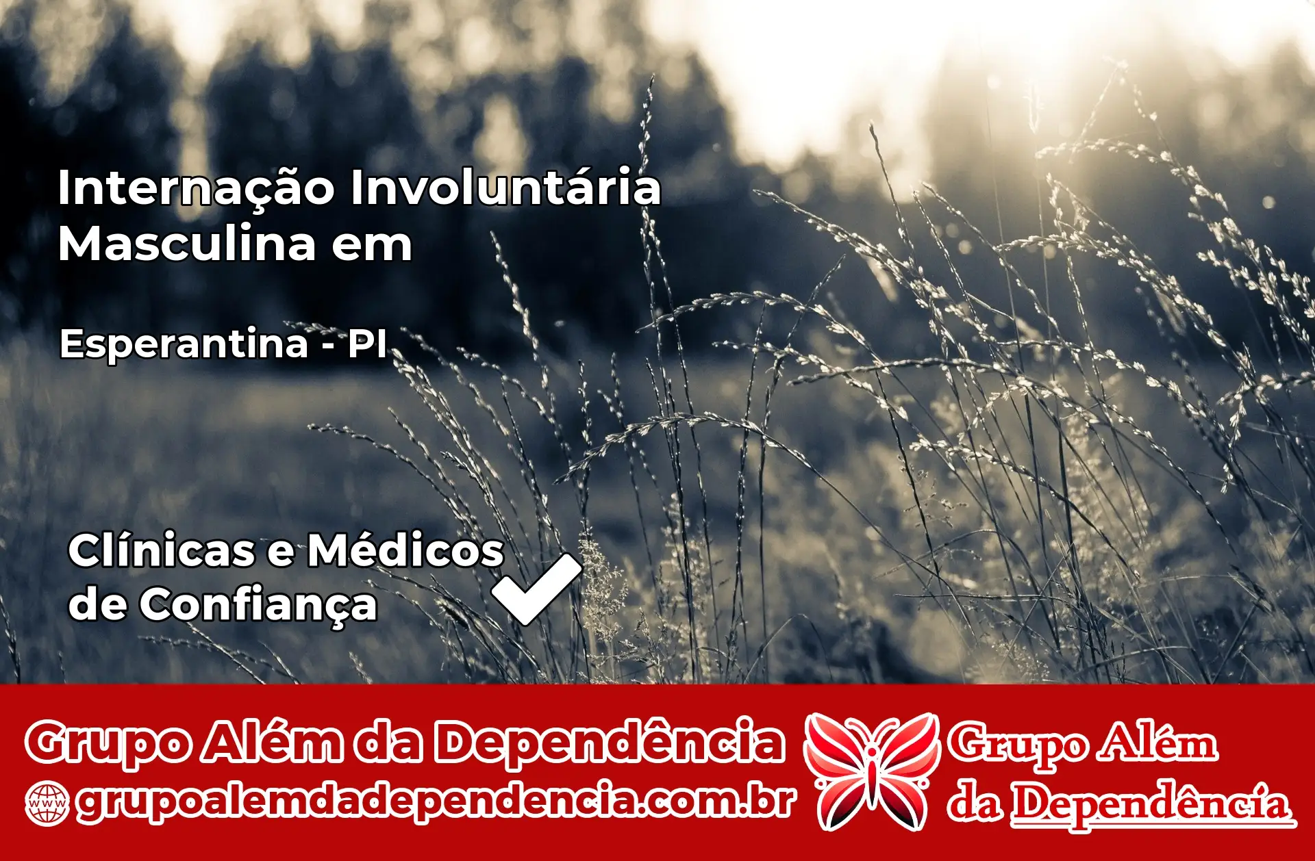 Internação Involuntária Masculina em Esperantina – PI