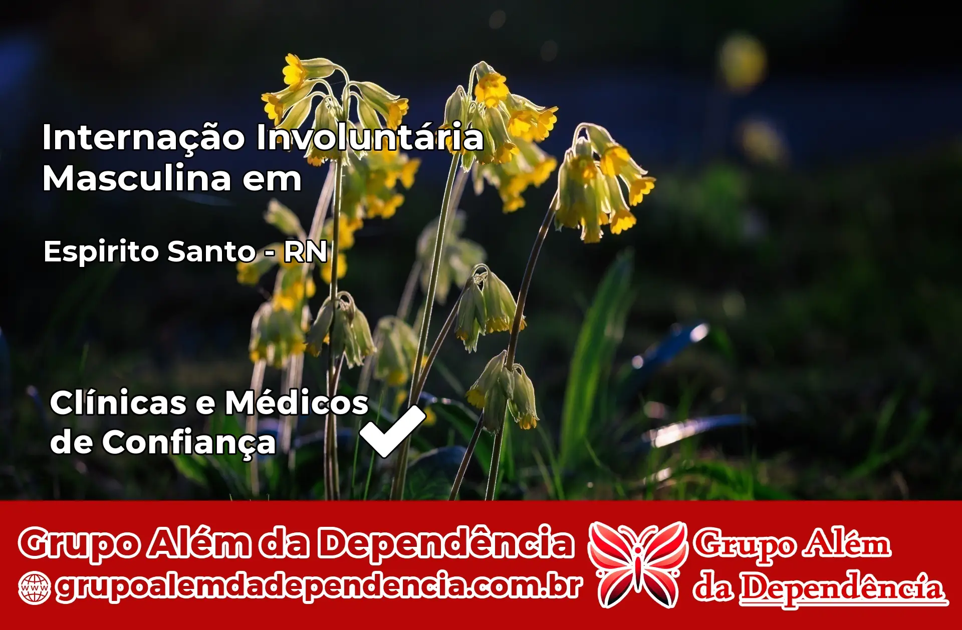 Internação Involuntária Masculina em Espírito Santo – RN