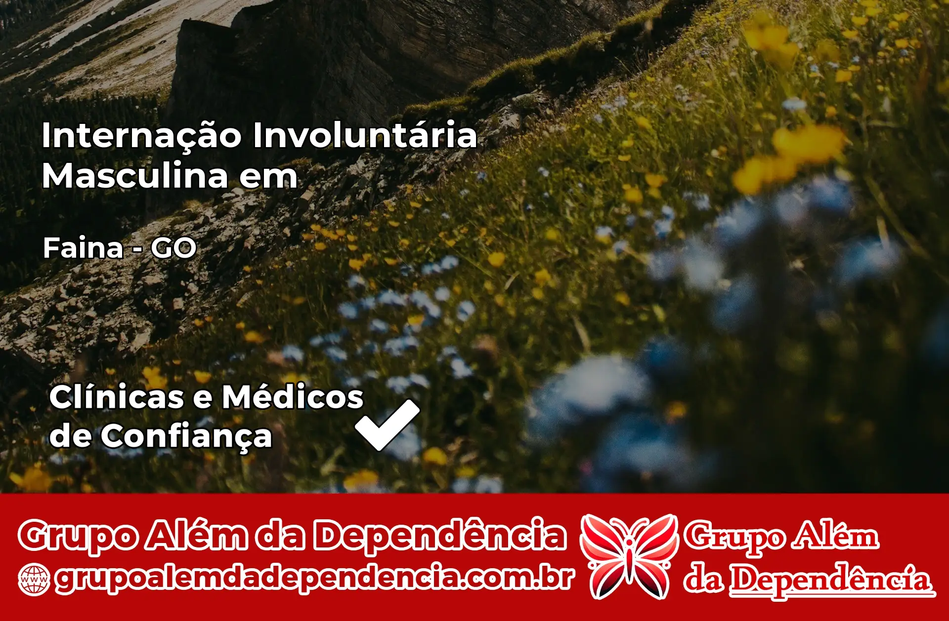 Internação Involuntária Masculina em Faina – GO