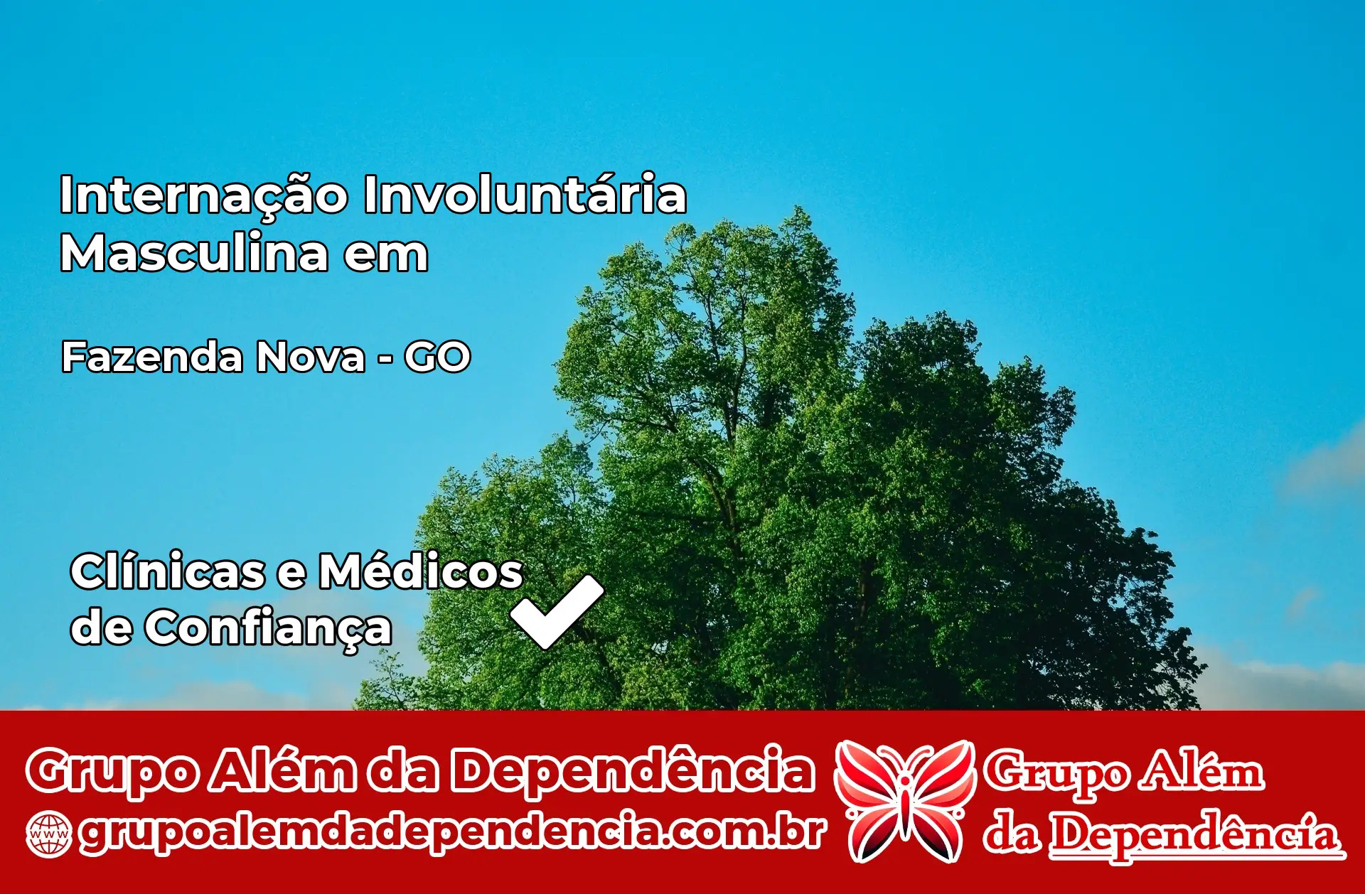 Internação Involuntária Masculina em Fazenda Nova – GO