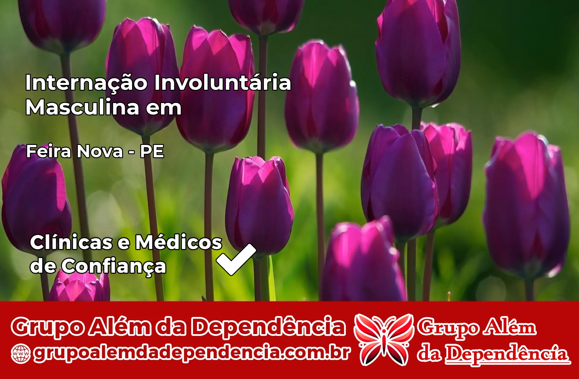 Internação Involuntária Masculina em Feira Nova – PE