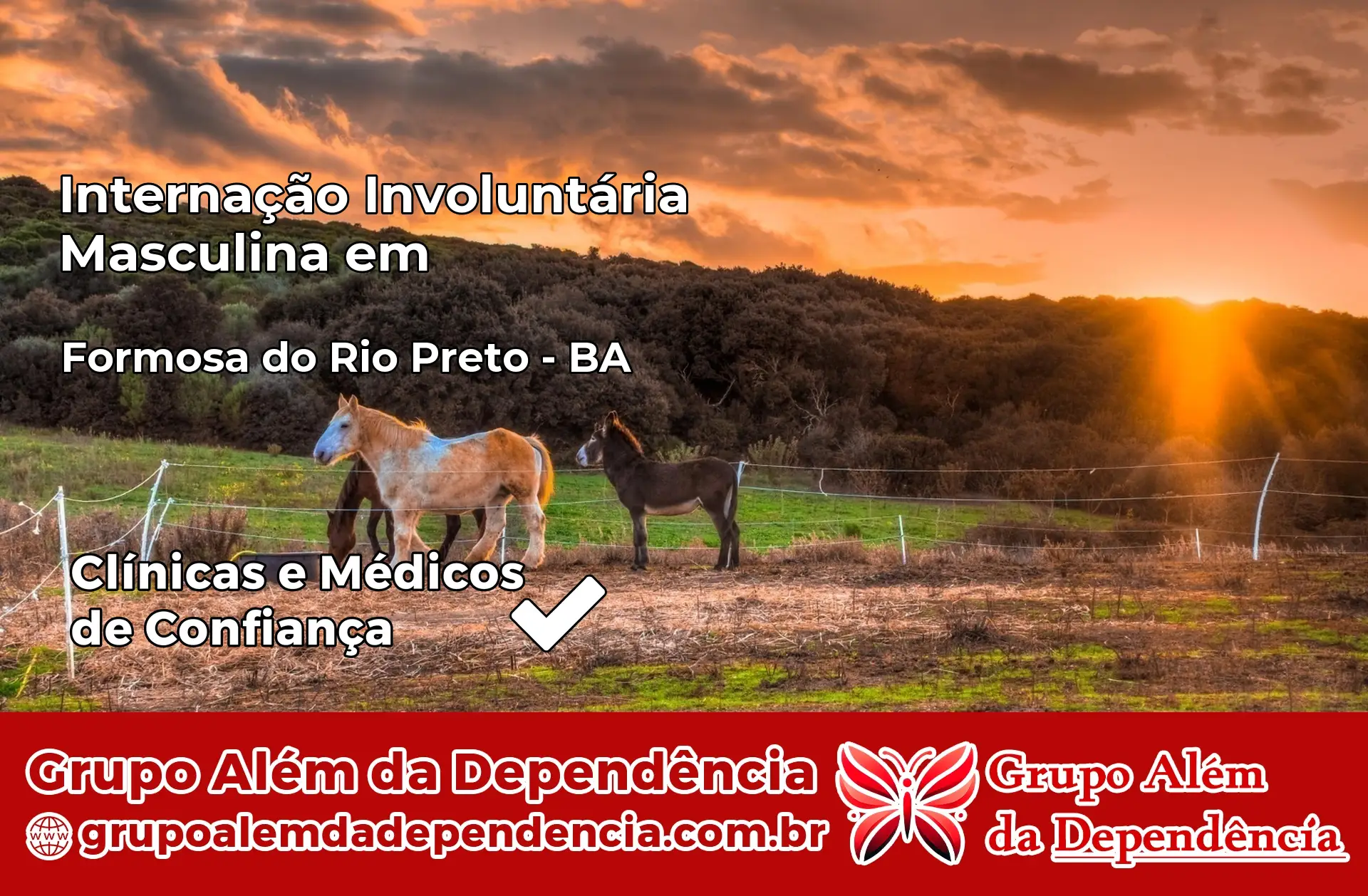 Internação Involuntária Masculina em Formosa do Rio Preto – BA