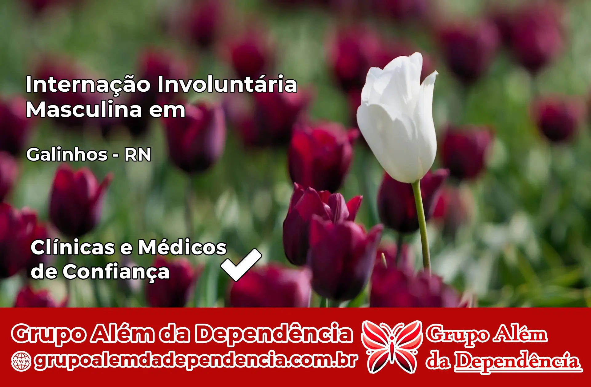 Internação Involuntária Masculina em Galinhos – RN
