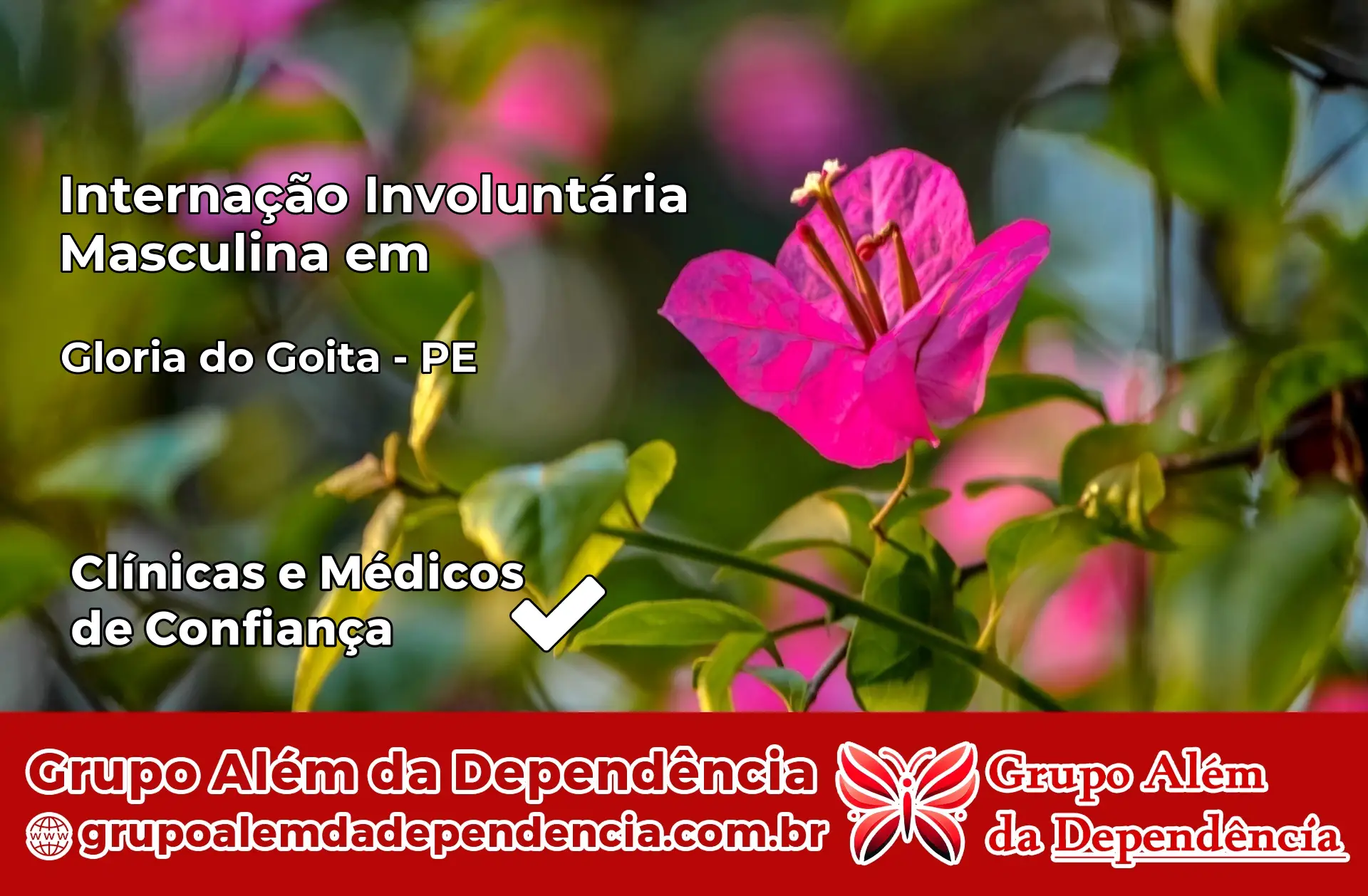 Internação Involuntária Masculina em Glória do Goitá – PE