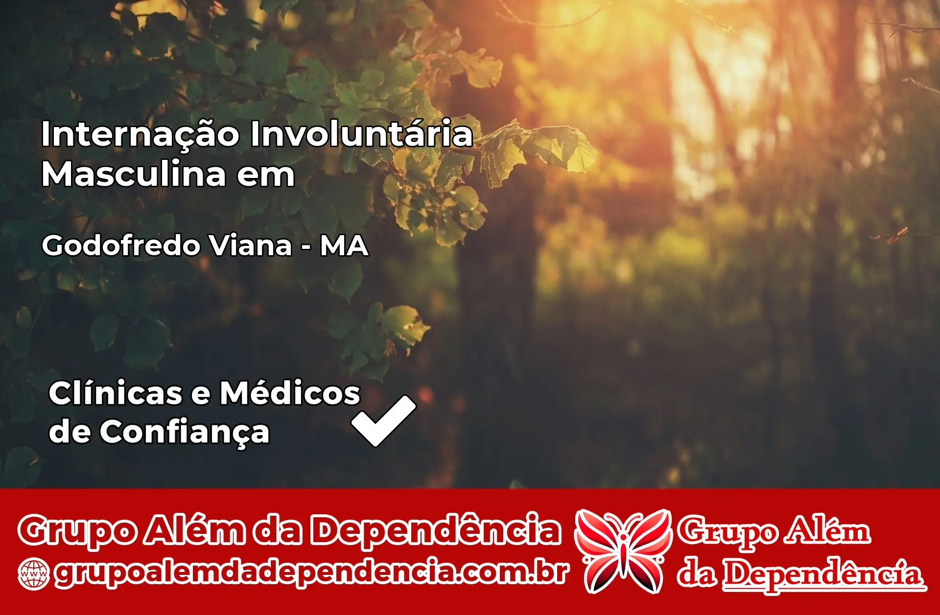 Internação Involuntária Masculina em Godofredo Viana – MA