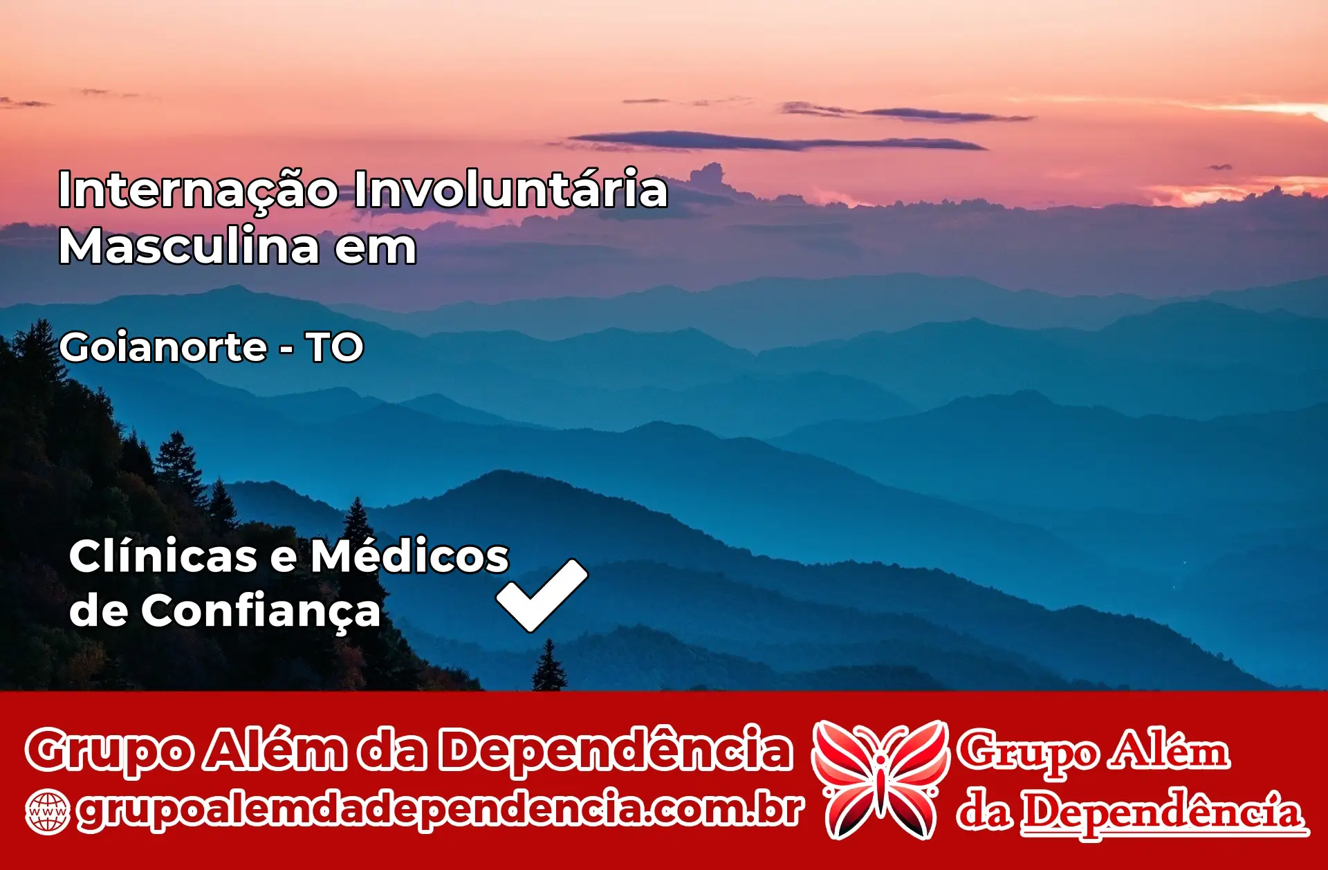 Internação Involuntária Masculina em Goianorte – TO