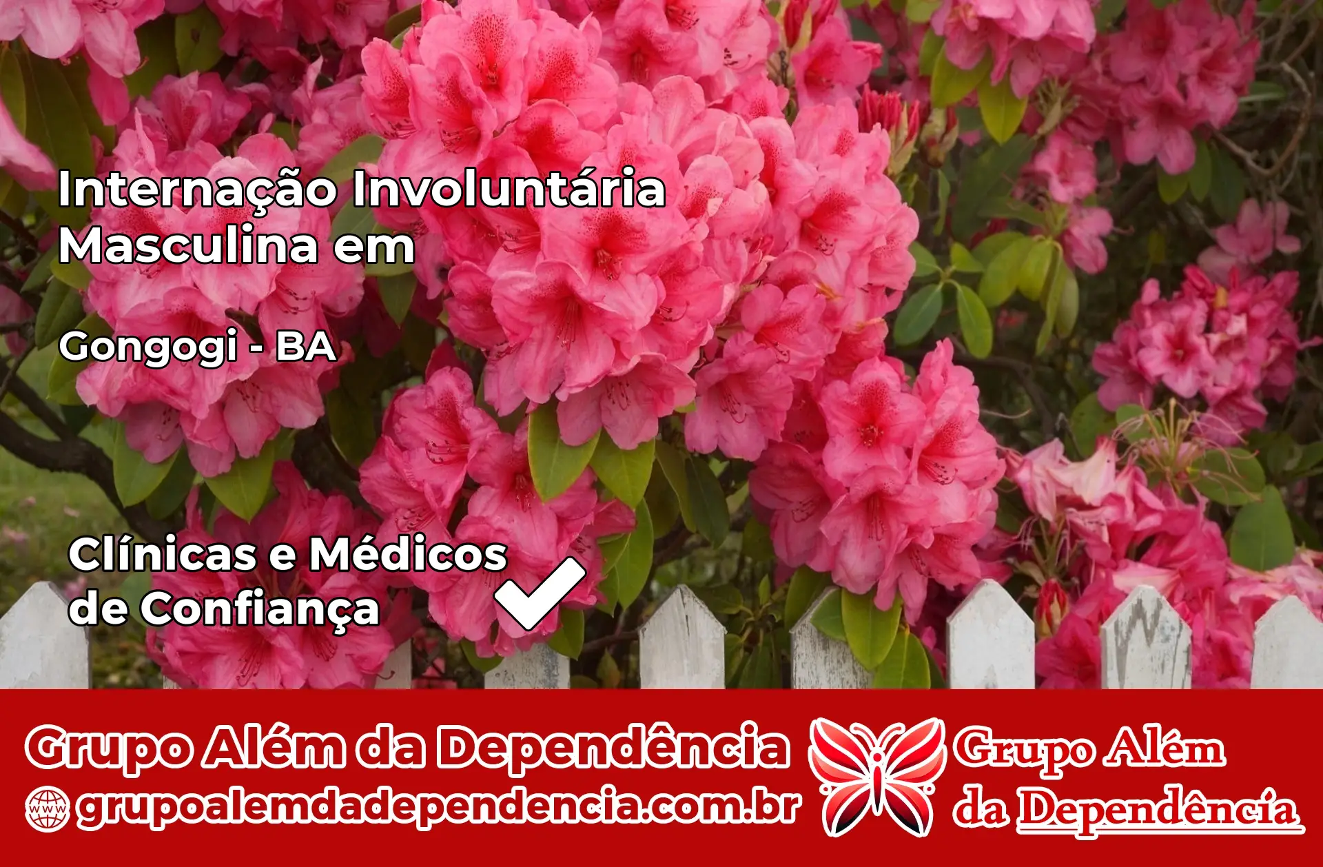 Internação Involuntária Masculina em Gongogi – BA