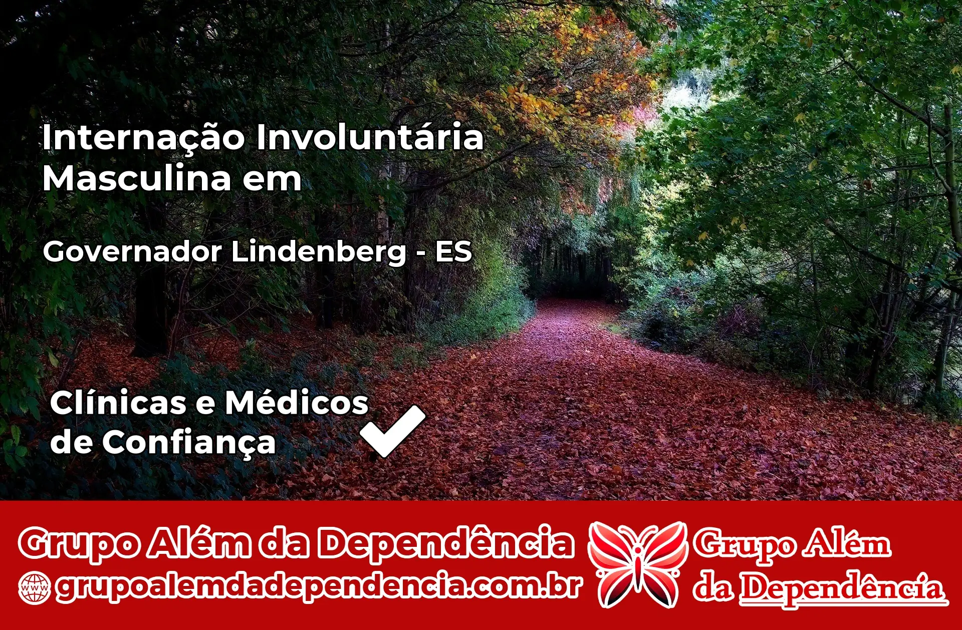 Internação Involuntária Masculina em Governador Lindenberg – ES