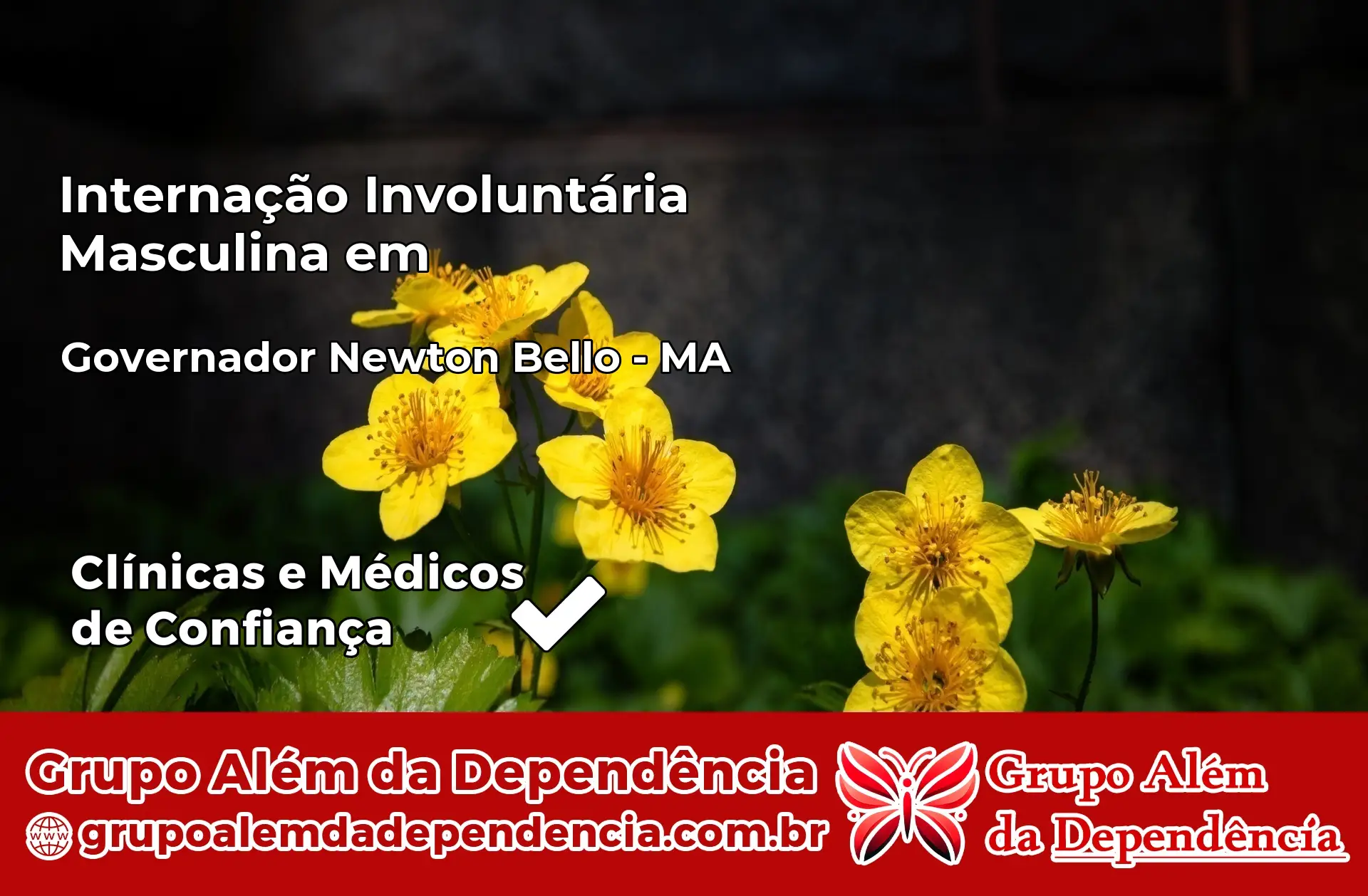 Internação Involuntária Masculina em Governador Newton Bello – MA