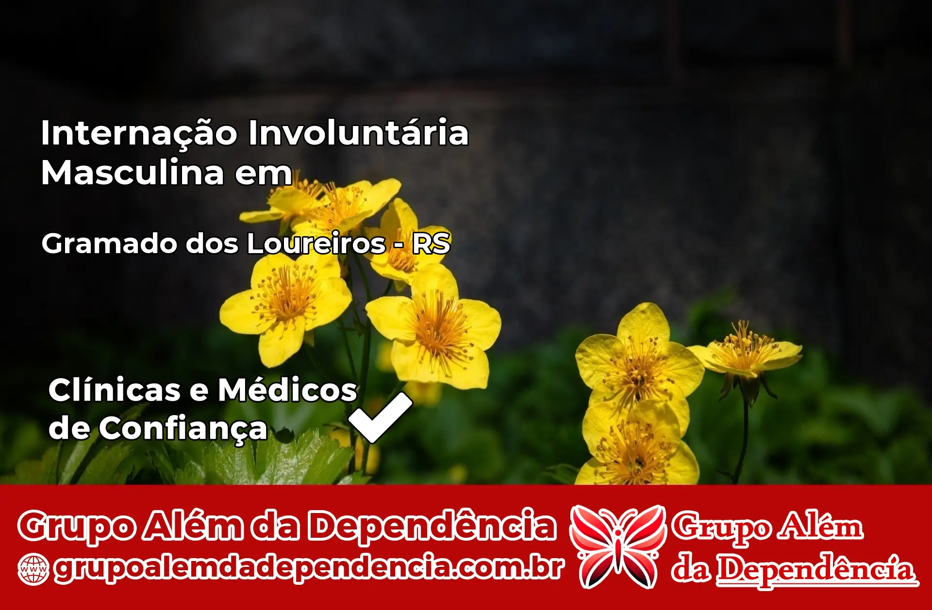 Internação Involuntária Masculina em Gramado dos Loureiros – RS