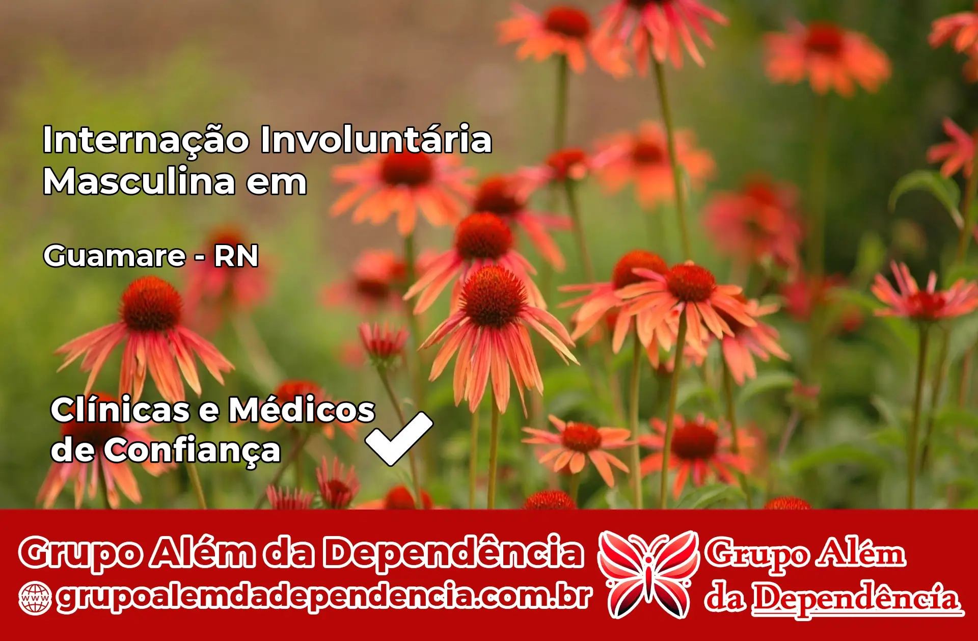 Internação Involuntária Masculina em Guamaré – RN