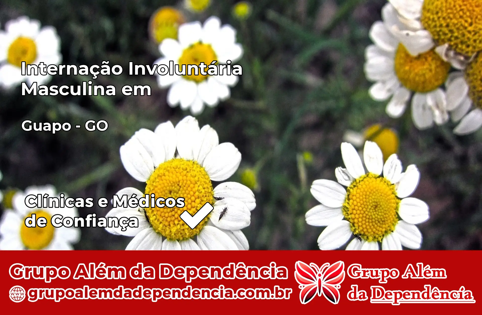 Internação Involuntária Masculina em Guapó – GO