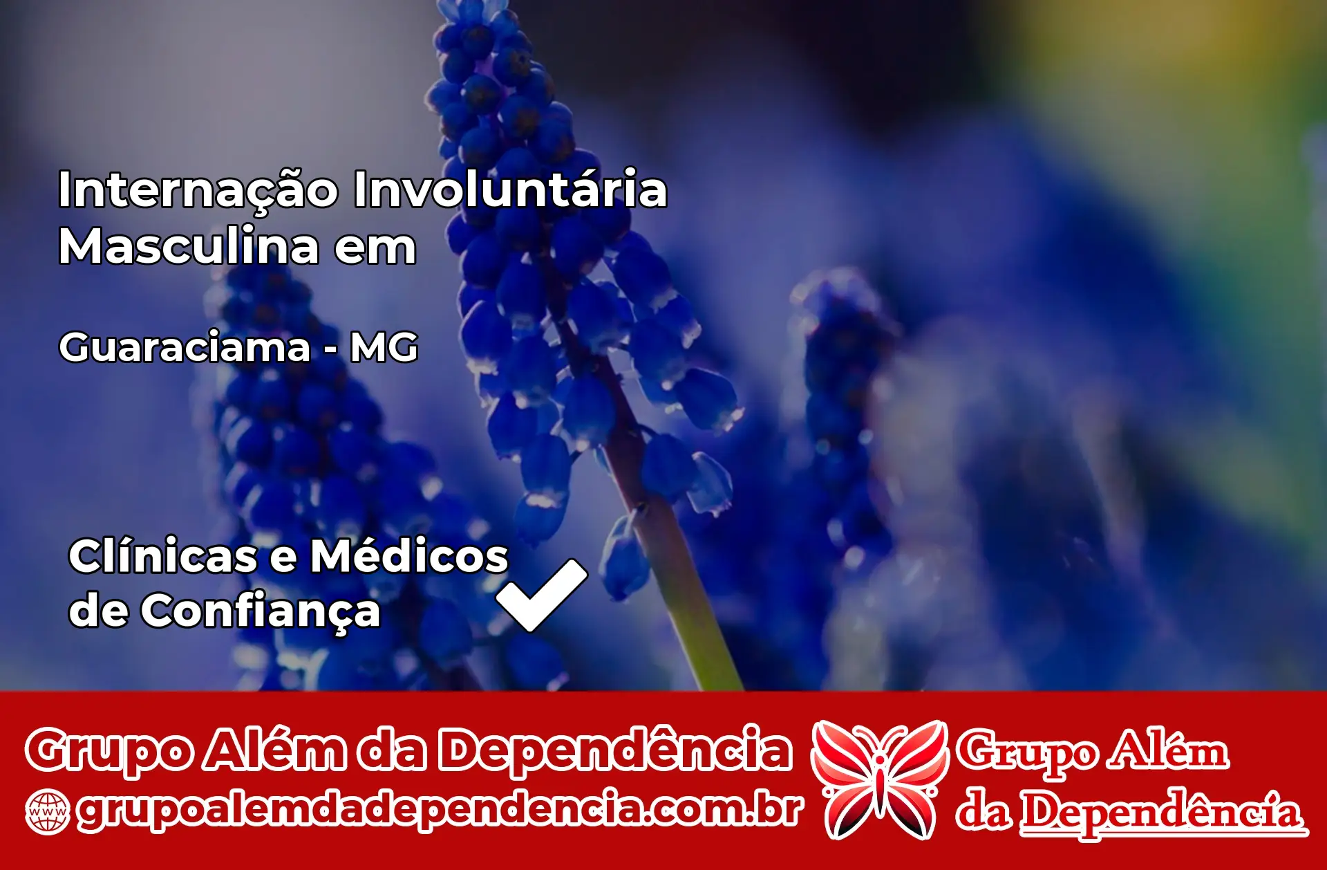 Internação Involuntária Masculina em Guaraciama – MG