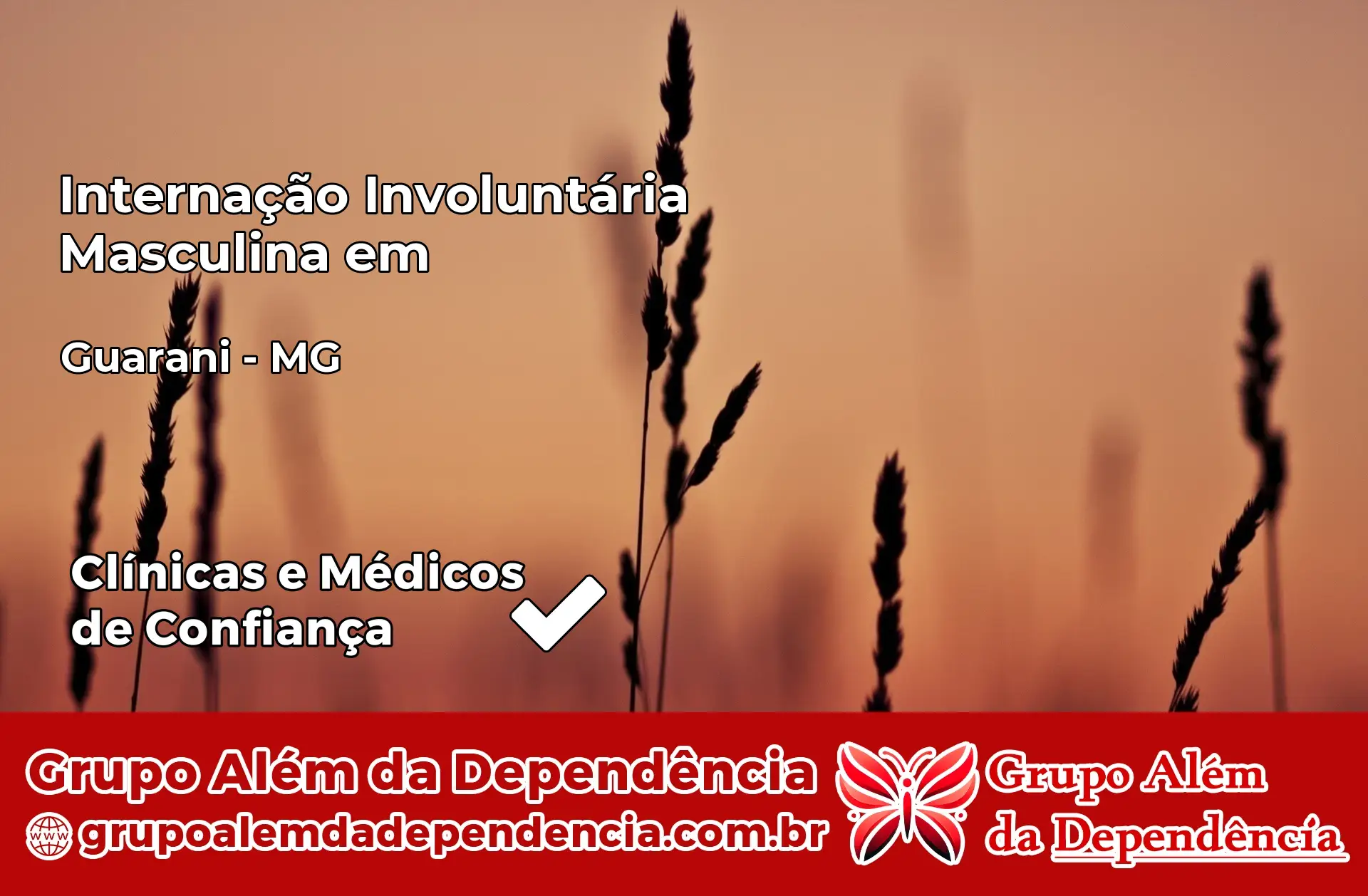 Internação Involuntária Masculina em Guarani – MG