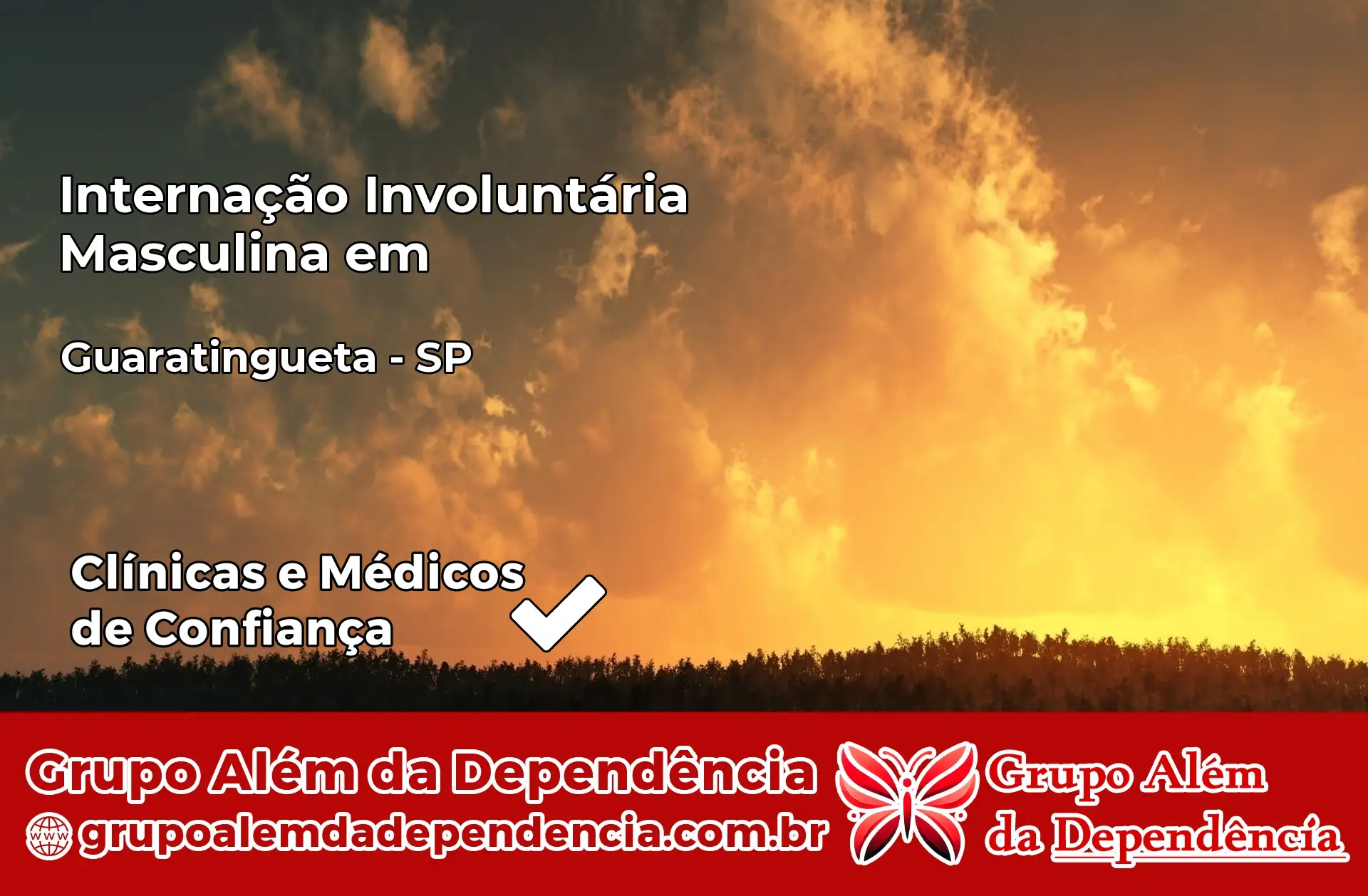 Internação Involuntária Masculina em Guaratinguetá – SP