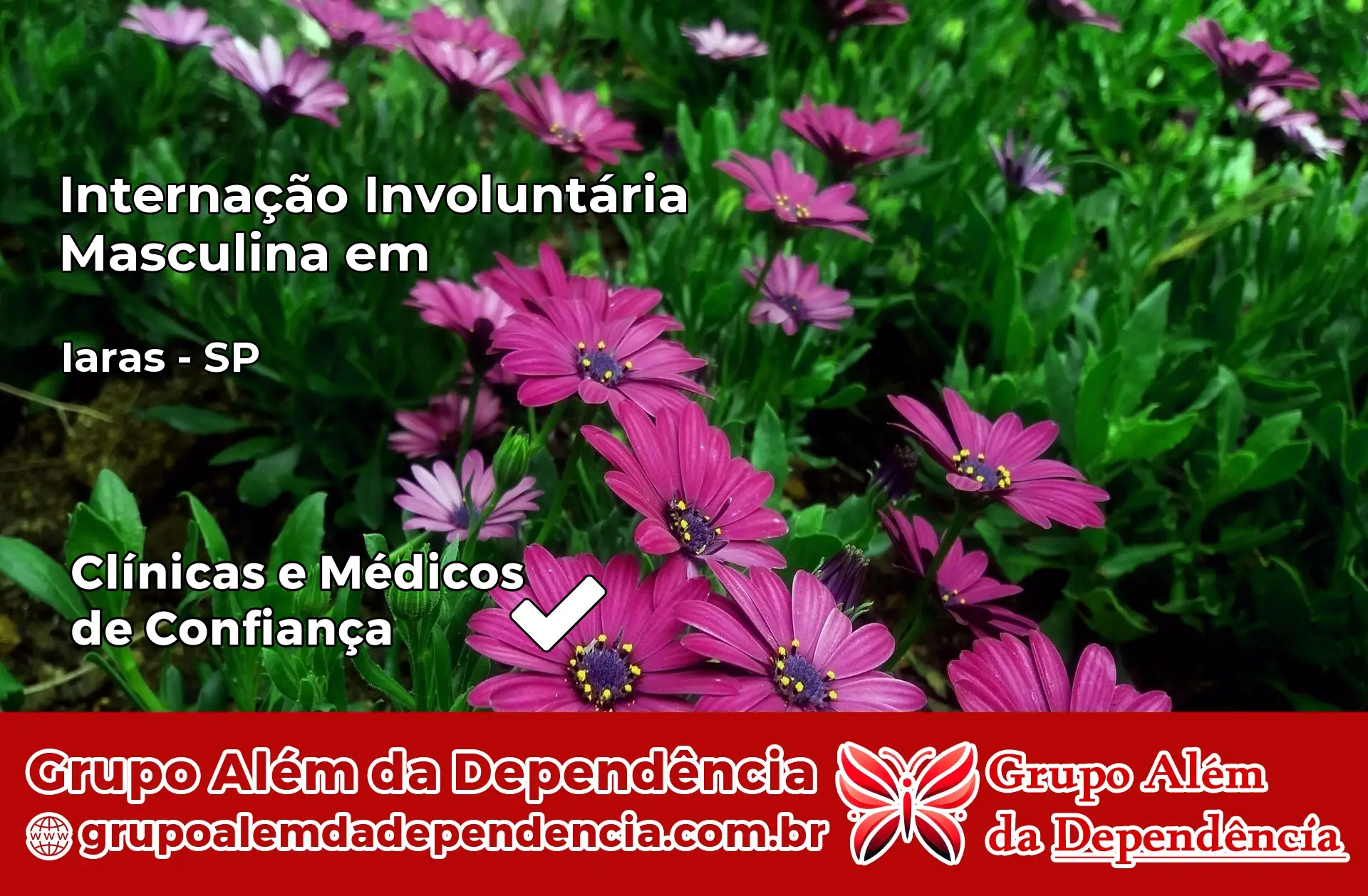 Internação Involuntária Masculina em Iaras – SP