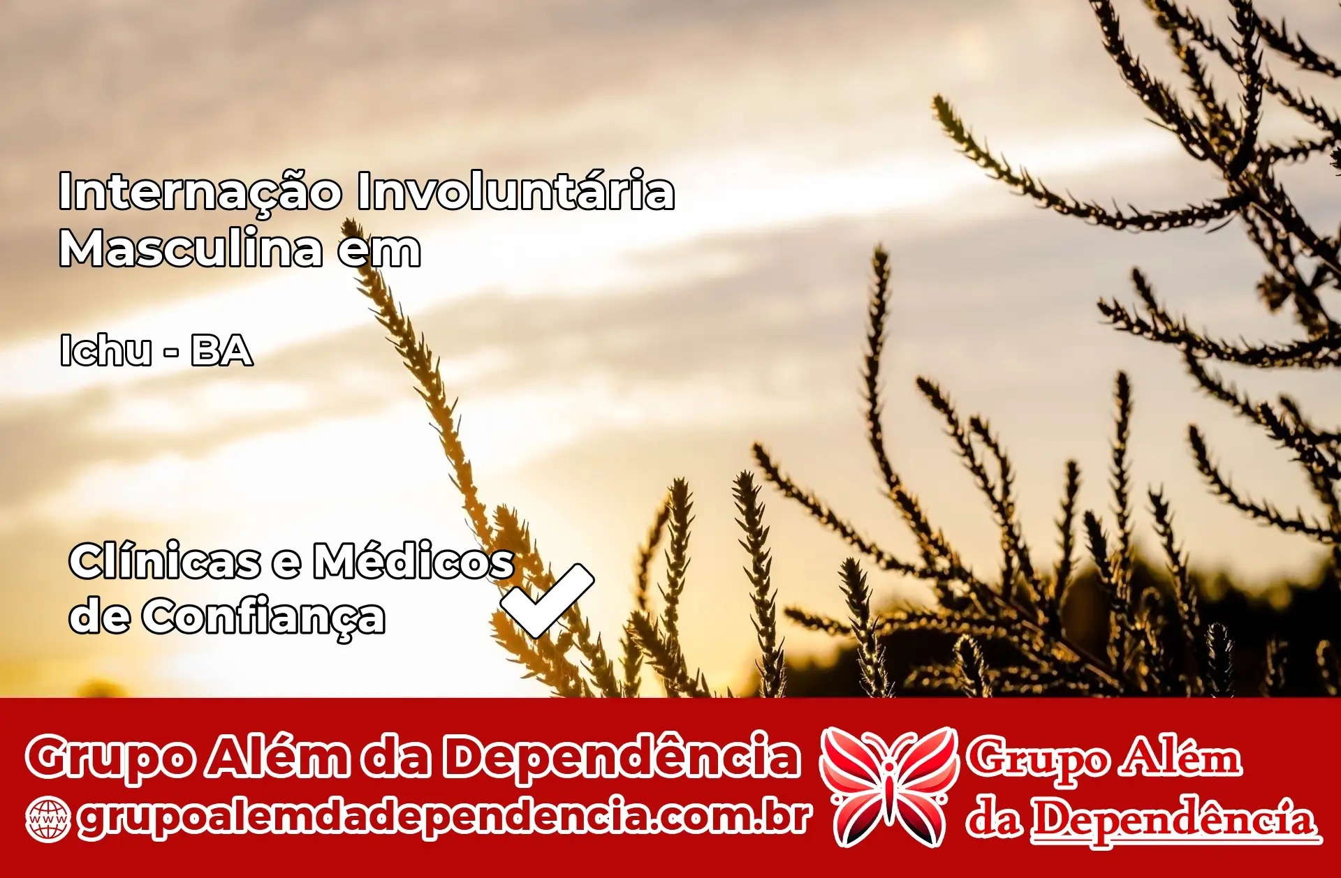 Internação Involuntária Masculina em Ichu – BA