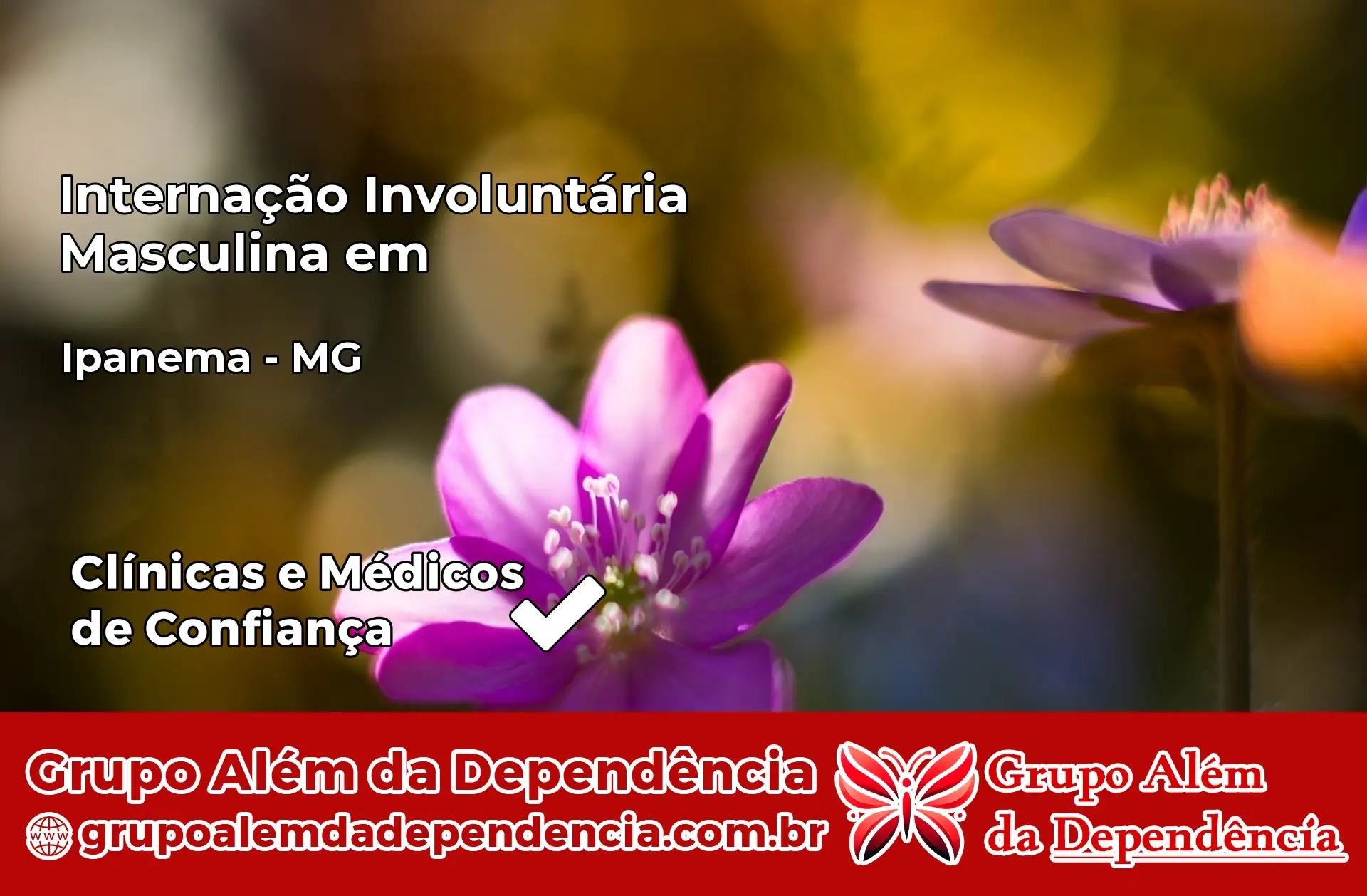 Internação Involuntária Masculina em Ipanema – MG