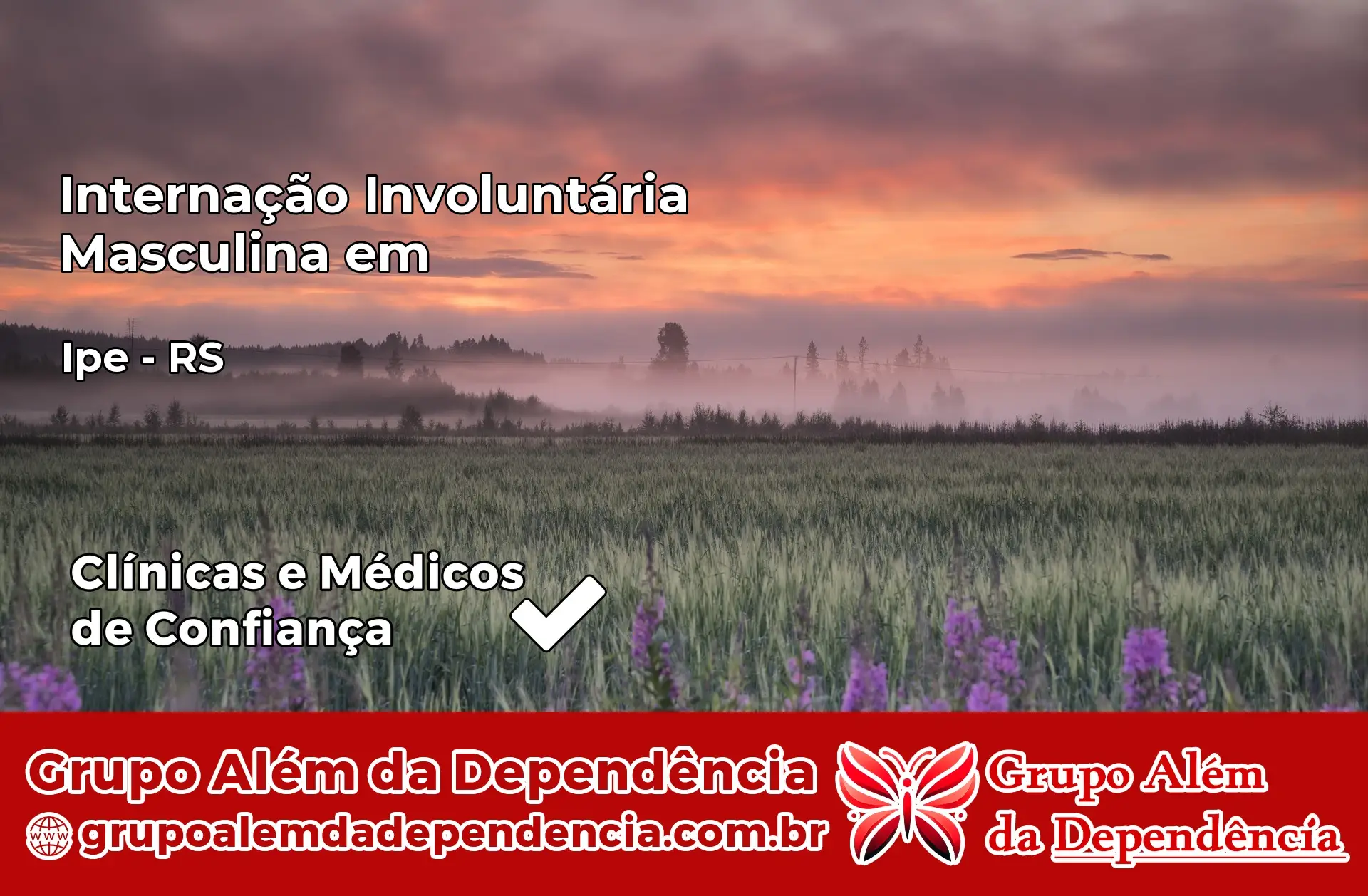 Internação Involuntária Masculina em Ipê – RS