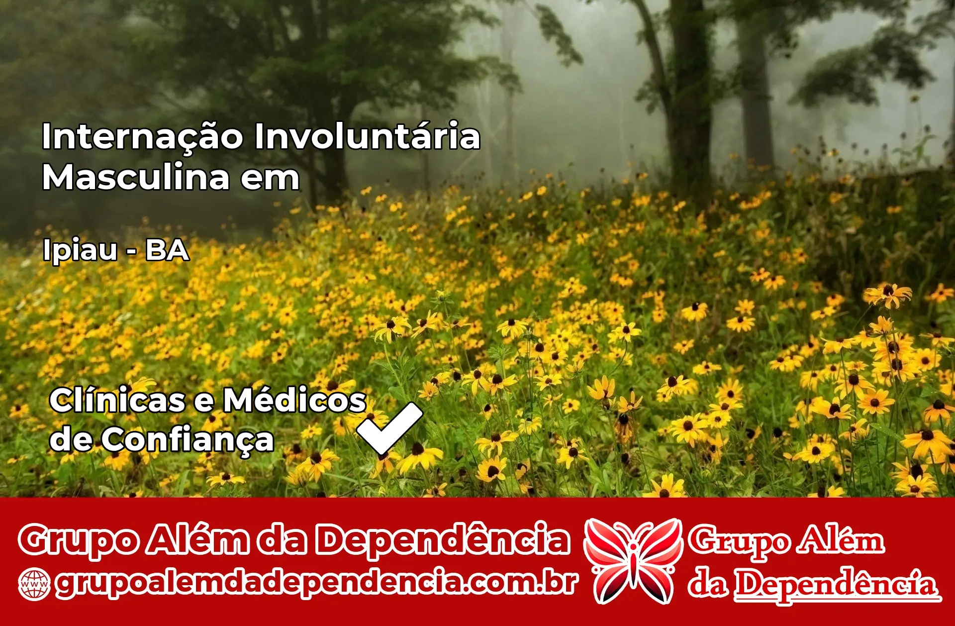 Internação Involuntária Masculina em Ipiaú – BA