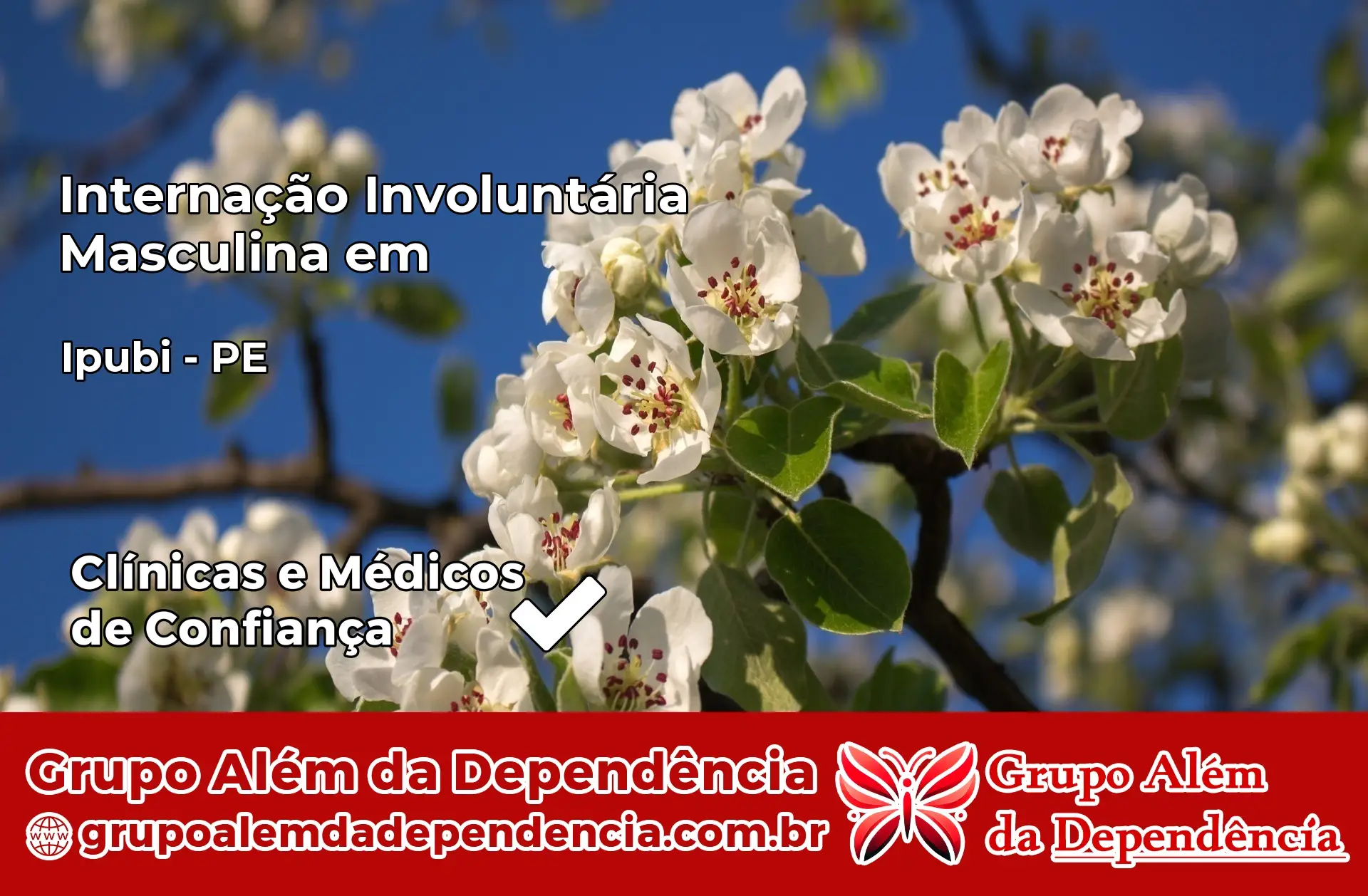 Internação Involuntária Masculina em Ipubi – PE