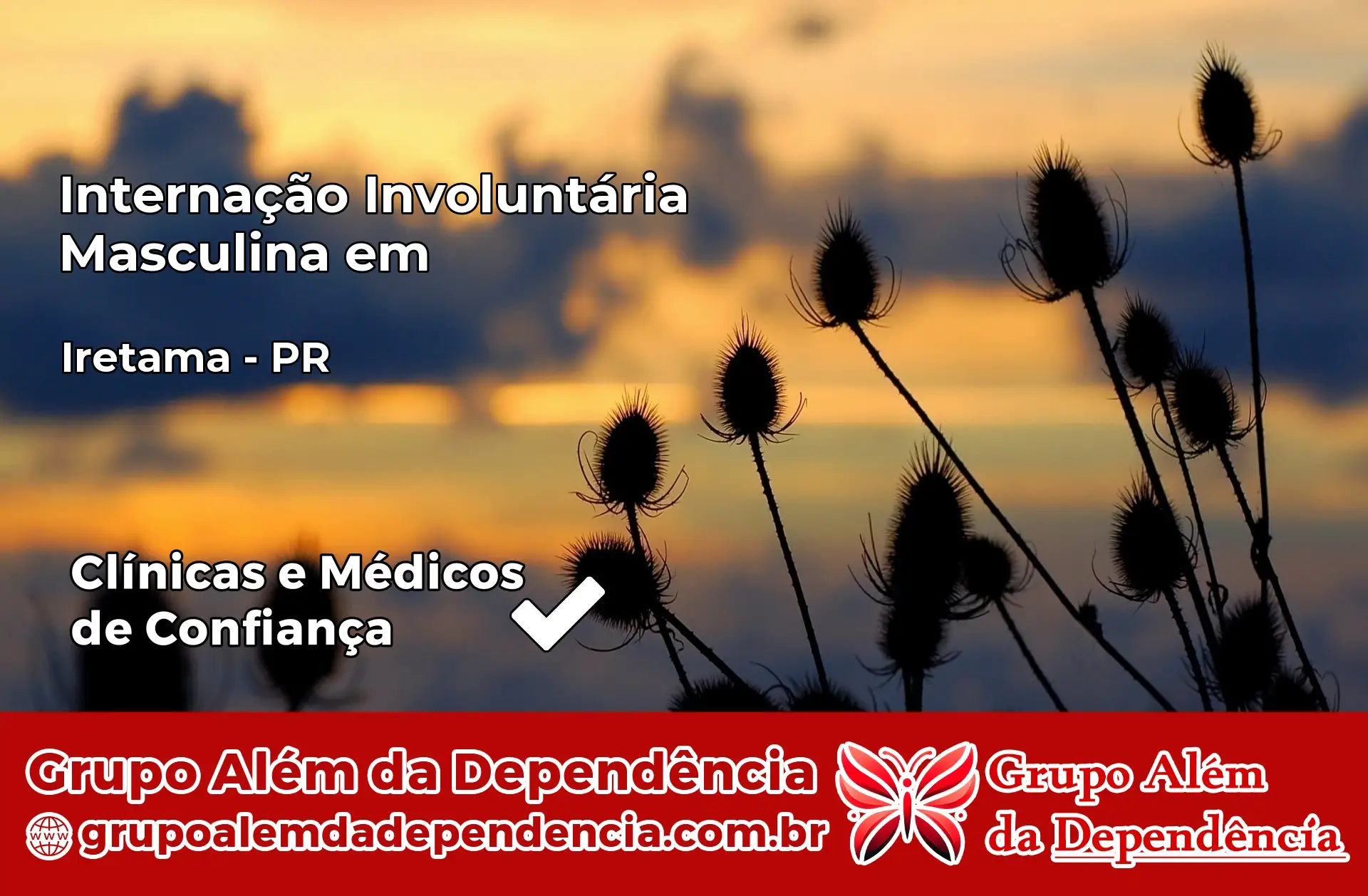 Internação Involuntária Masculina em Iretama – PR