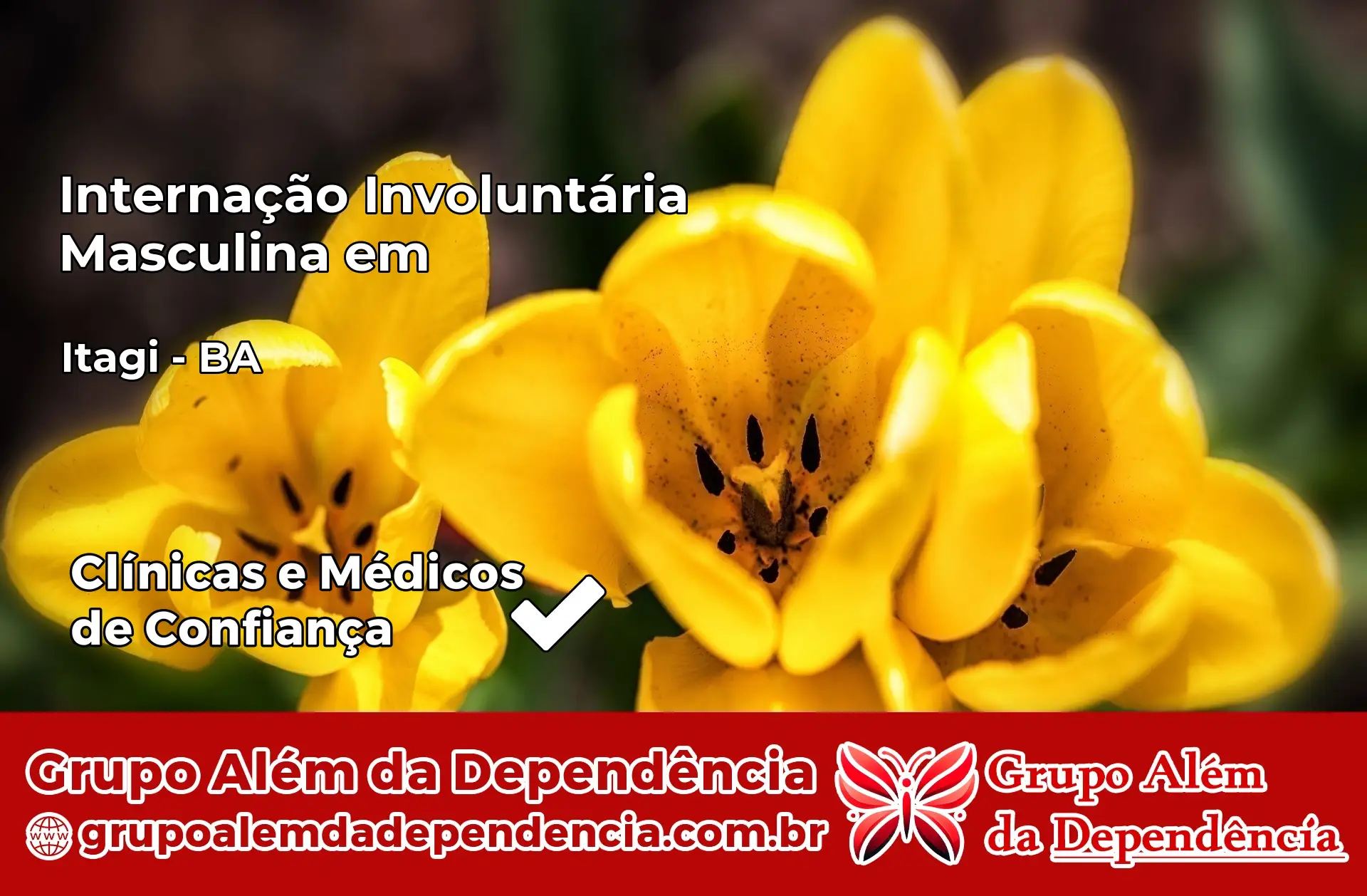 Internação Involuntária Masculina em Itagi – BA